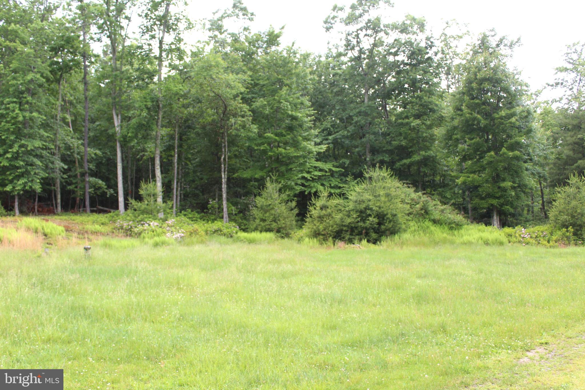 BLACK THORN - Residential