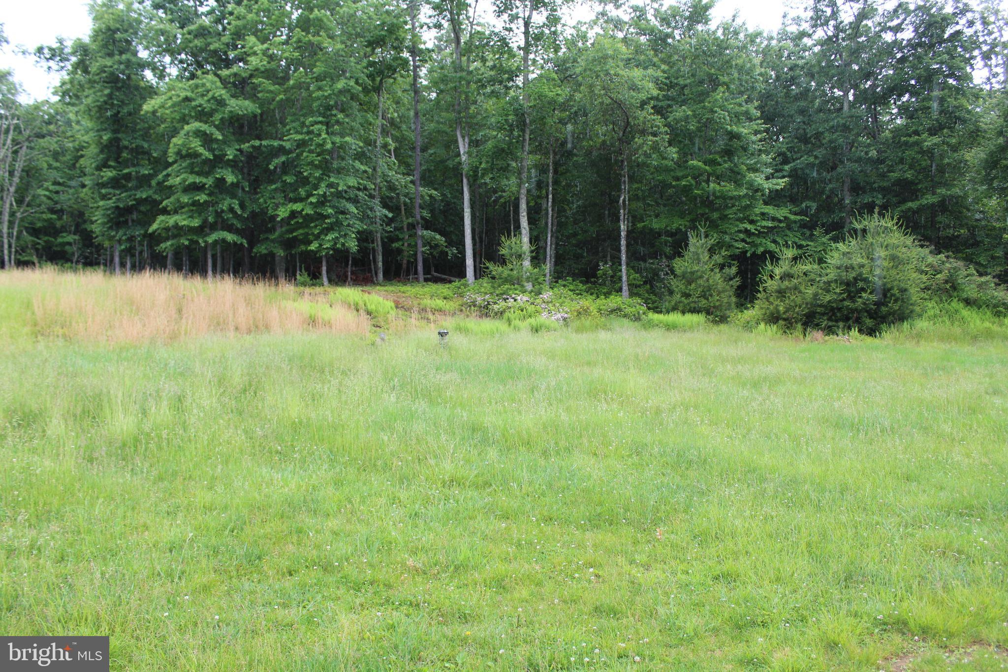 BLACK THORN - Residential