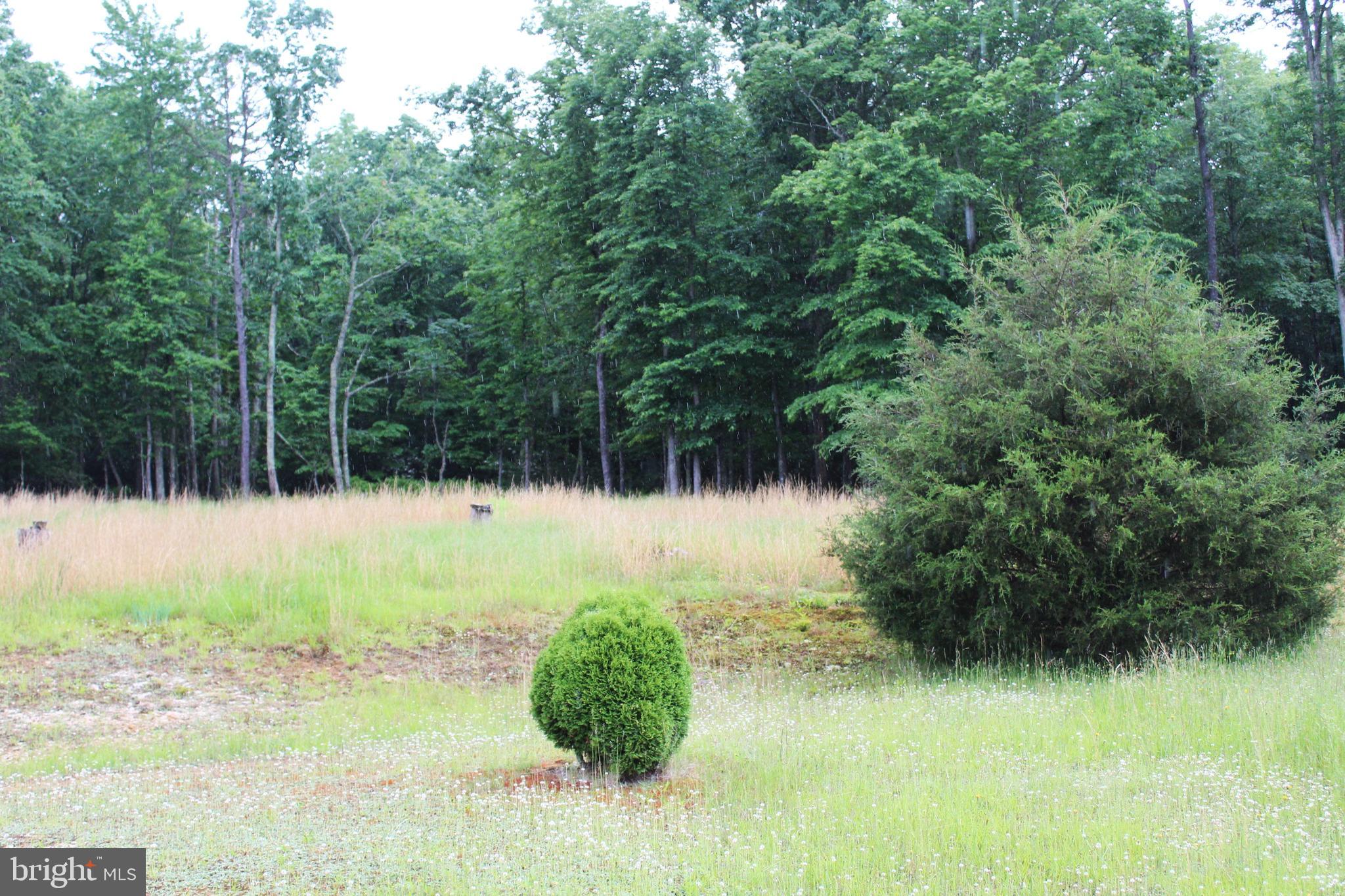 BLACK THORN - Residential