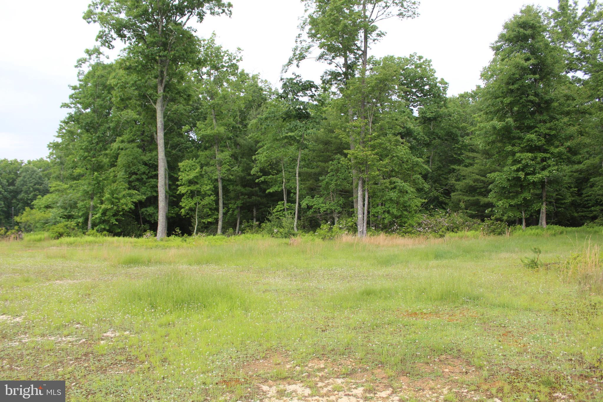 BLACK THORN - Residential