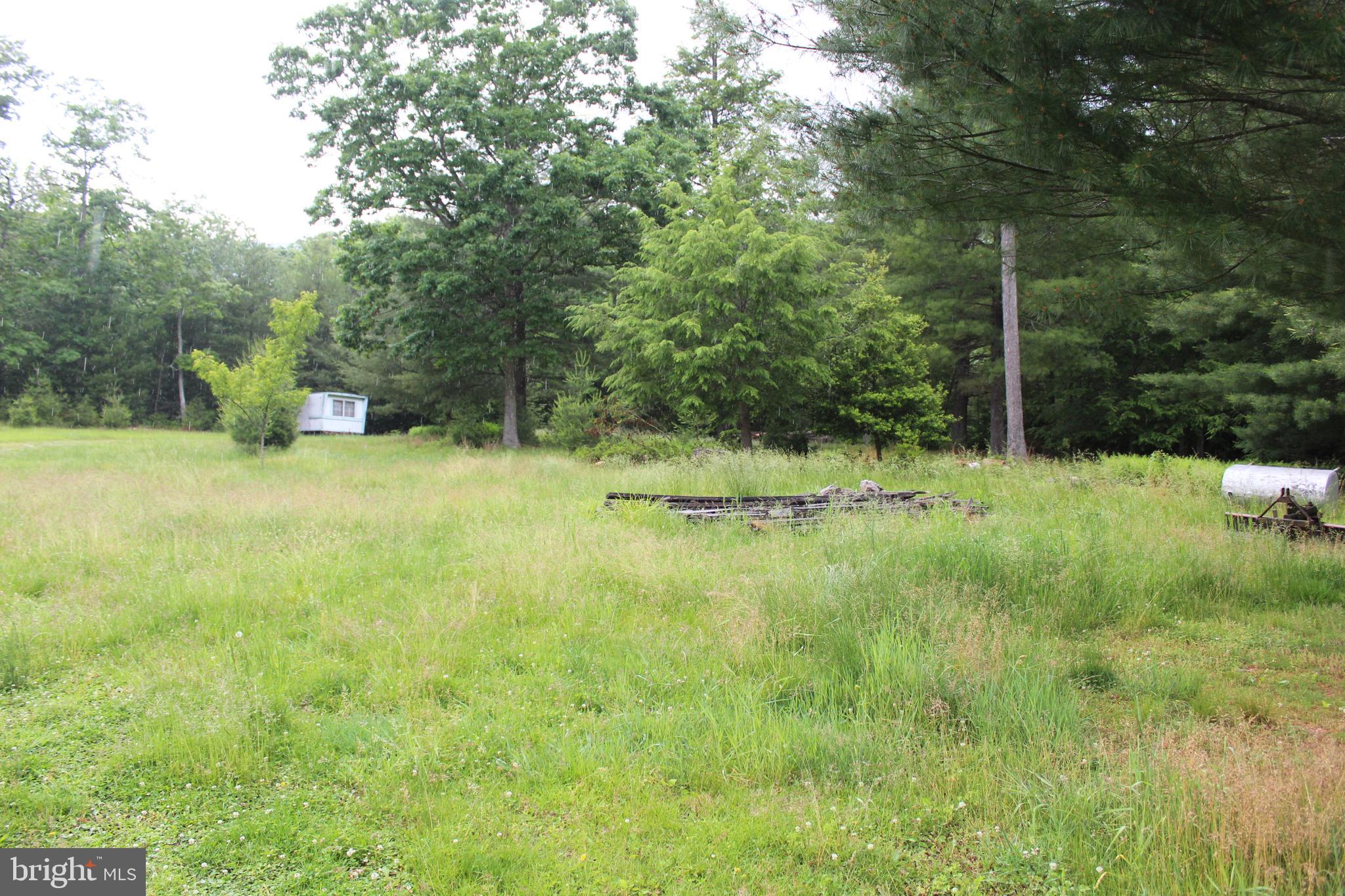 BLACK THORN - Residential