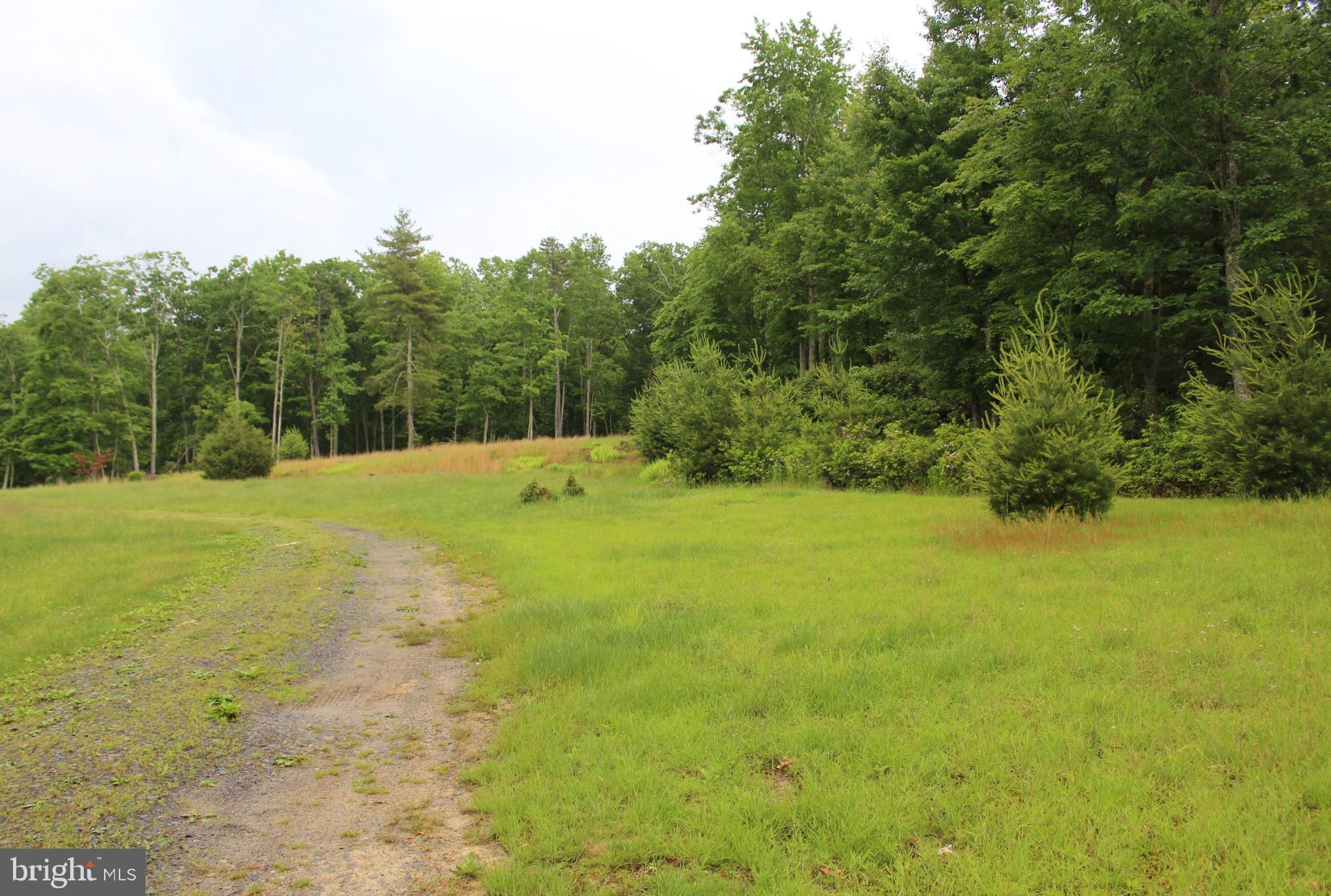 BLACK THORN - Residential