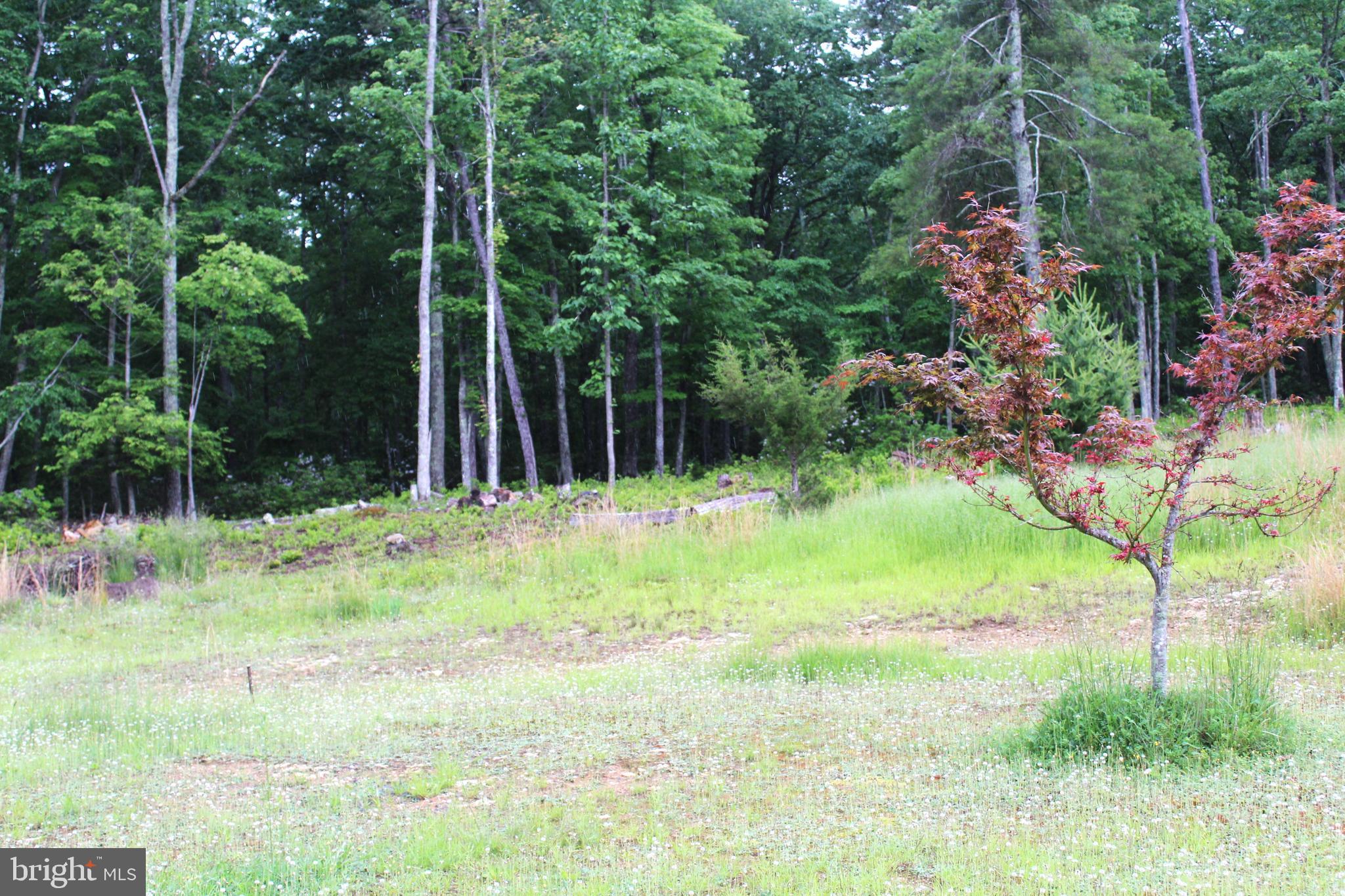 BLACK THORN - Residential