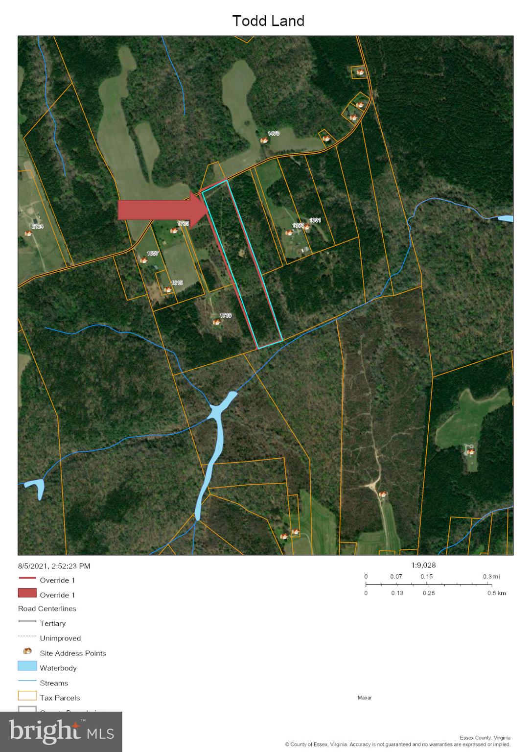 Main image without alt text