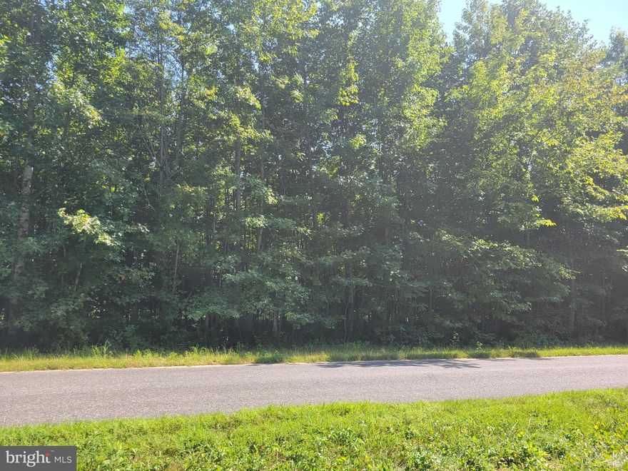 Welcome to some peace and quiet on this lovely 17. 14 (+/-) lot for sale in Caret, Virginia, in Essex County. Great location, just off US 17. Just 30 minutes to Fredericksburg at Cosner Corner and 20 minutes to Tappahannock! There is a well already on the property, a creek at the back of the land, and there is a metal shed and an indenture in the land for the beginning of a man-made pond. Electric is already at the front of the property. Mostly wooded lot, nice topography, great wildlife, this is a wonderful opportunity!
