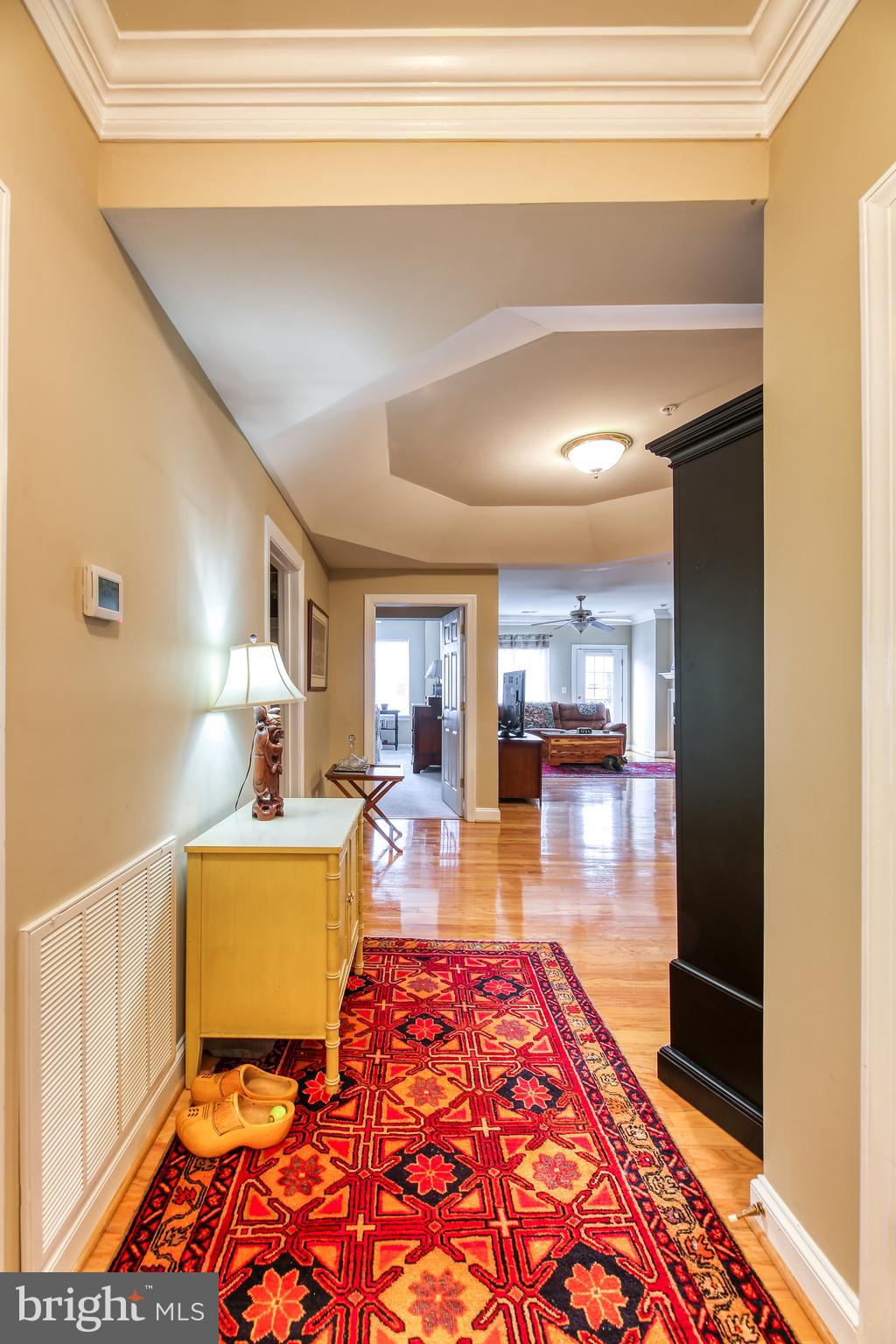 CENTRAL PARKE AT LOWES ISLAND - Residential