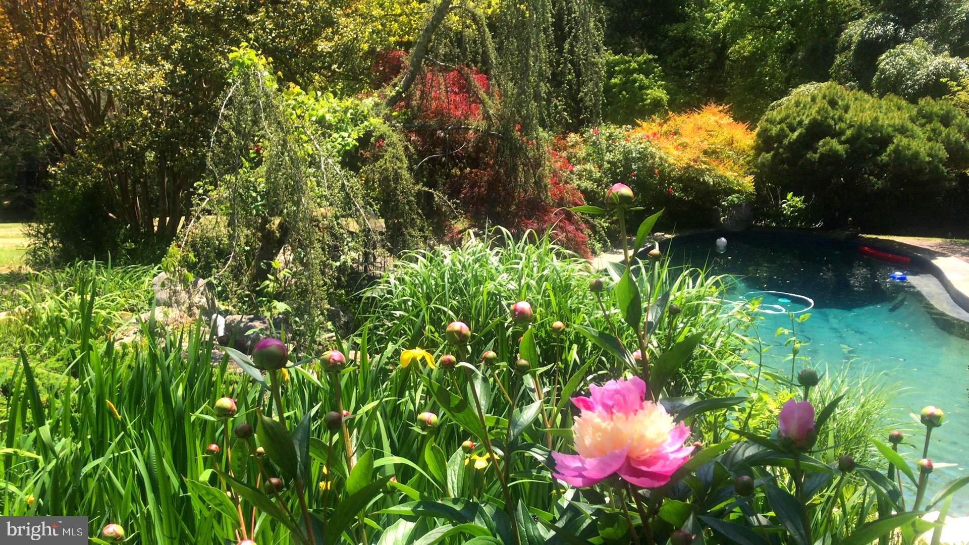 ROLLING MEADOWS - Residential Lease