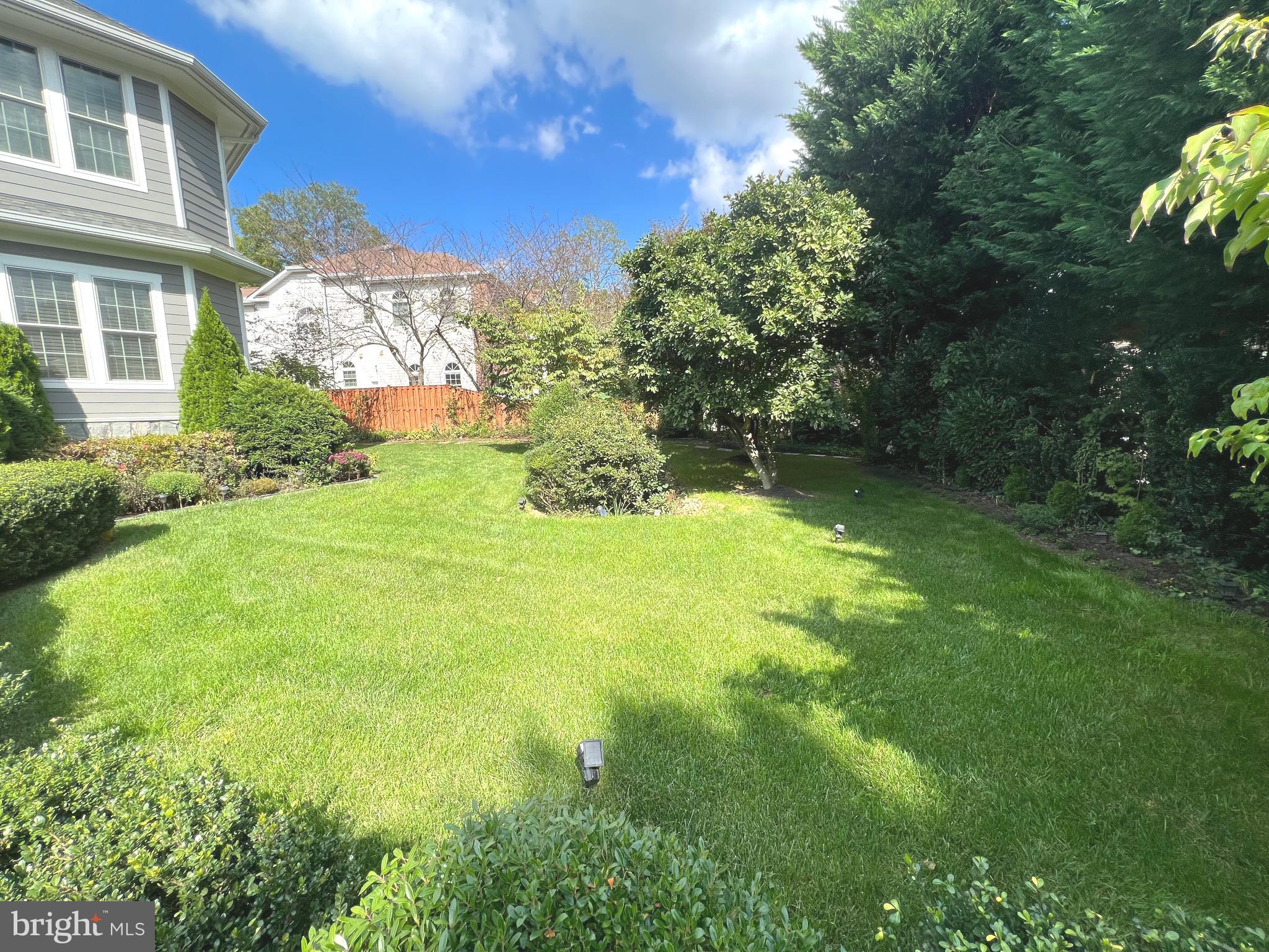 GEORGIA NEWMAN - Residential Lease