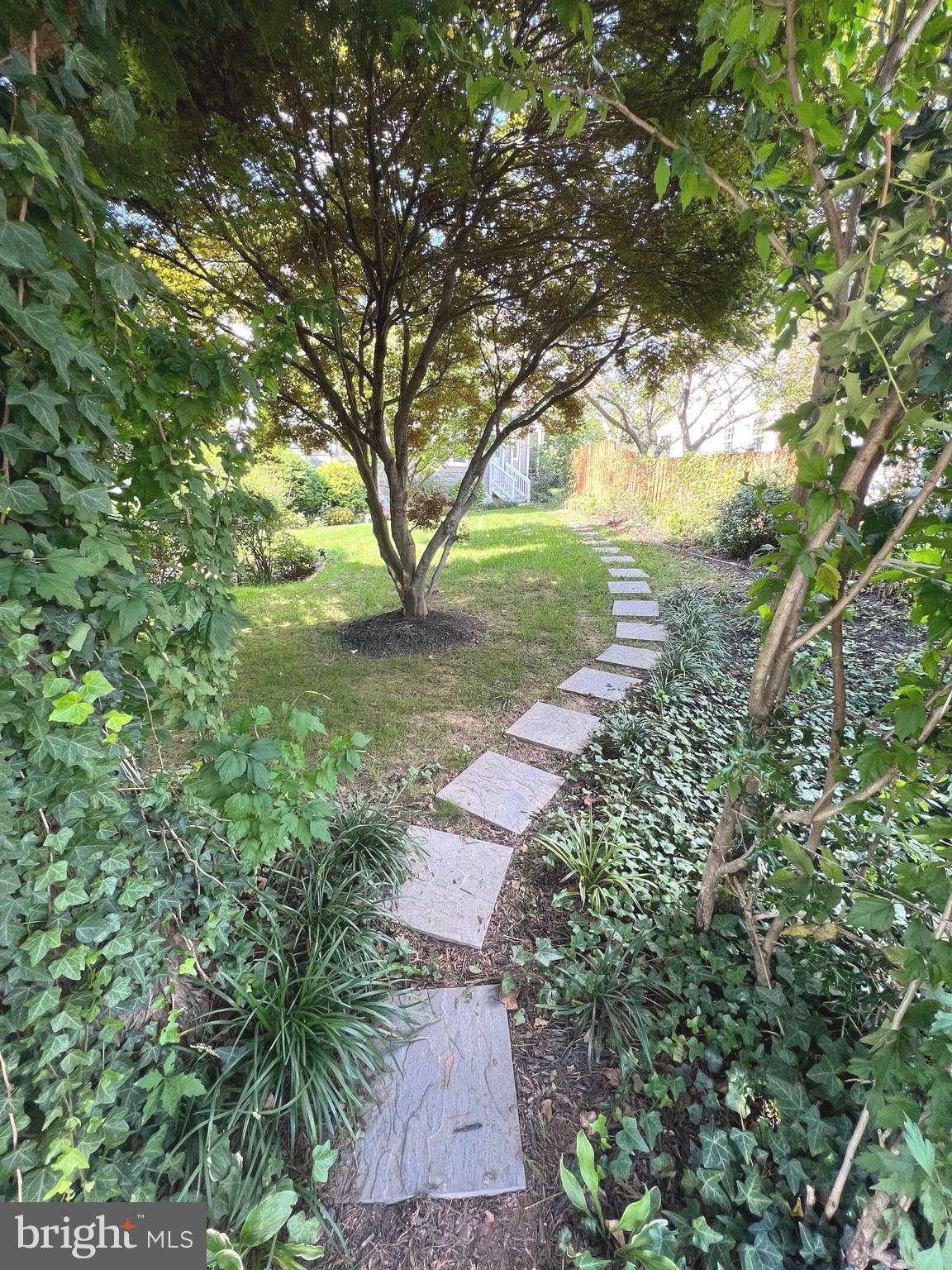 GEORGIA NEWMAN - Residential Lease