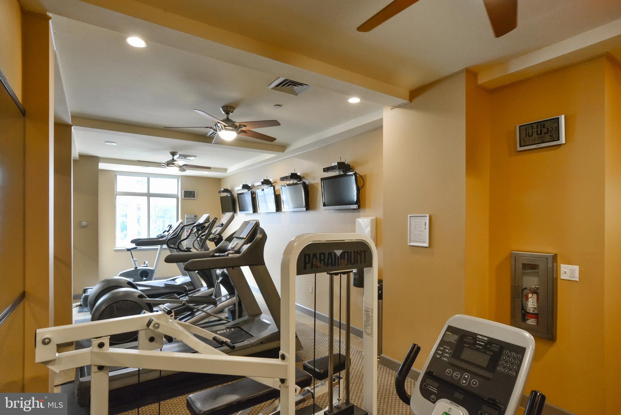 BERKELEY CONDOMINIUM - Residential Lease