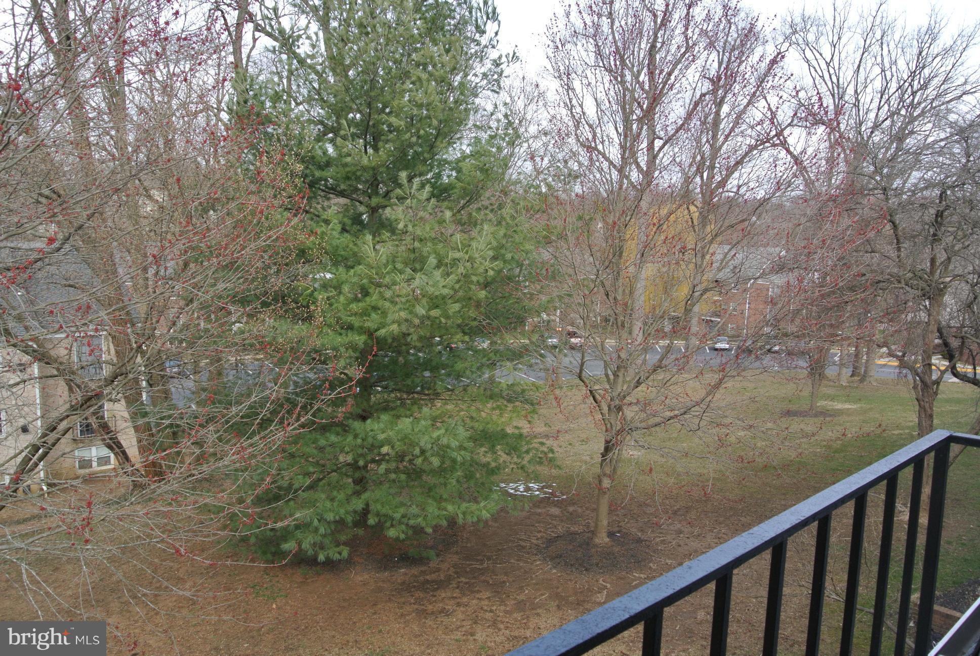 VILLAGES AT HOMELAND - Residential Lease