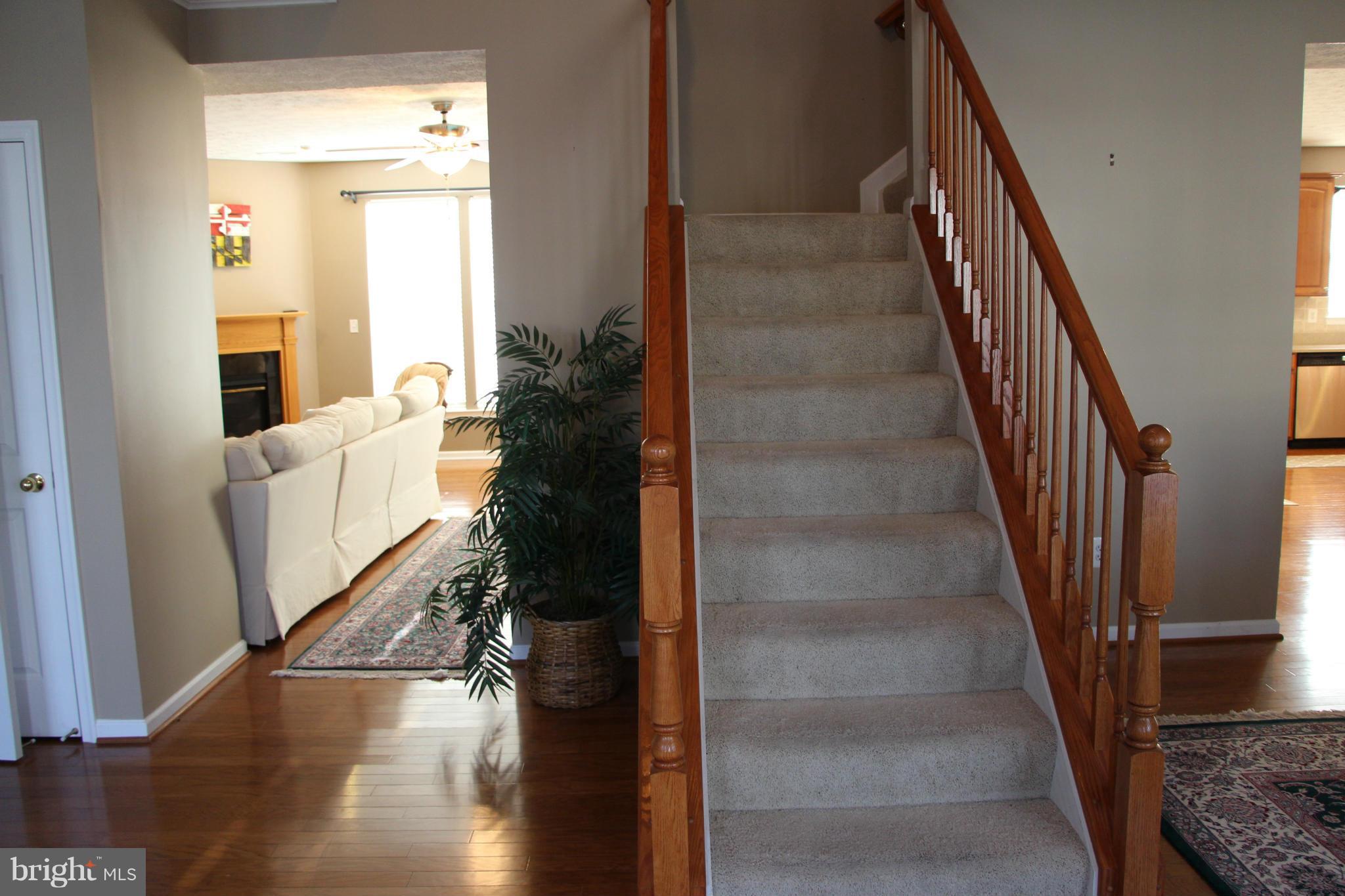 CATTAIL COMMONS - Residential