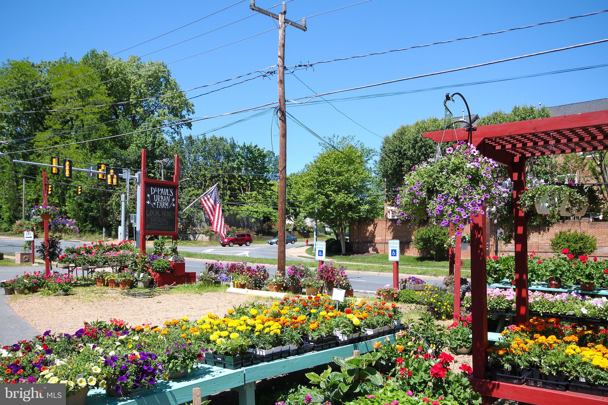 TANGLEWOOD - Residential