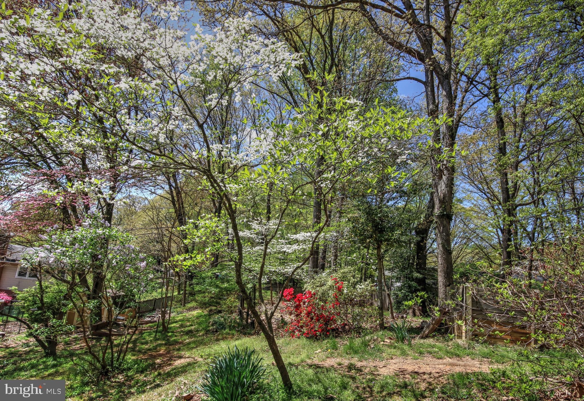 TANGLEWOOD - Residential