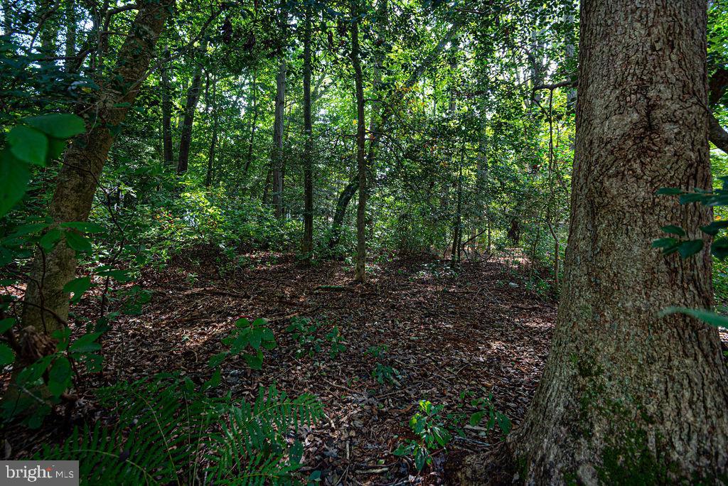 OCEAN PINES - SHERWOOD FOREST - Residential