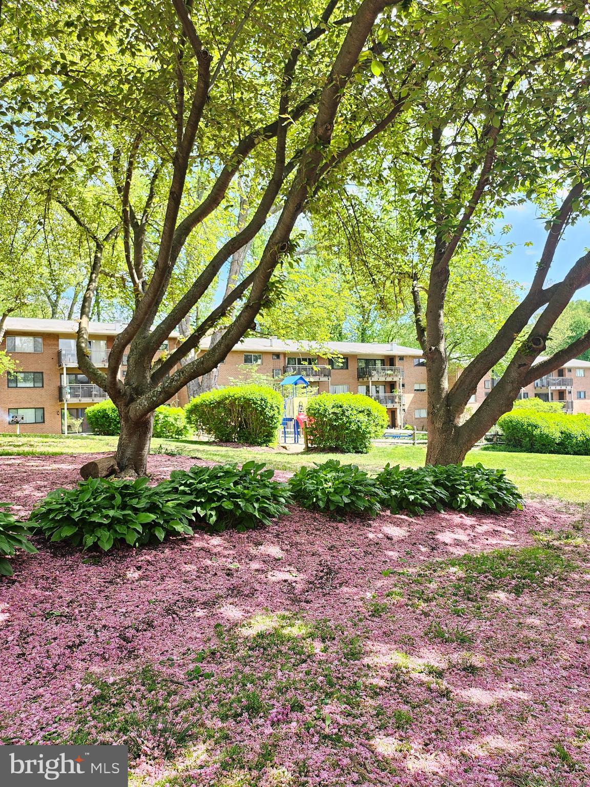 TIMBERLANE VILLAGE GARDEN CONDOMINIUMS - Residential Lease