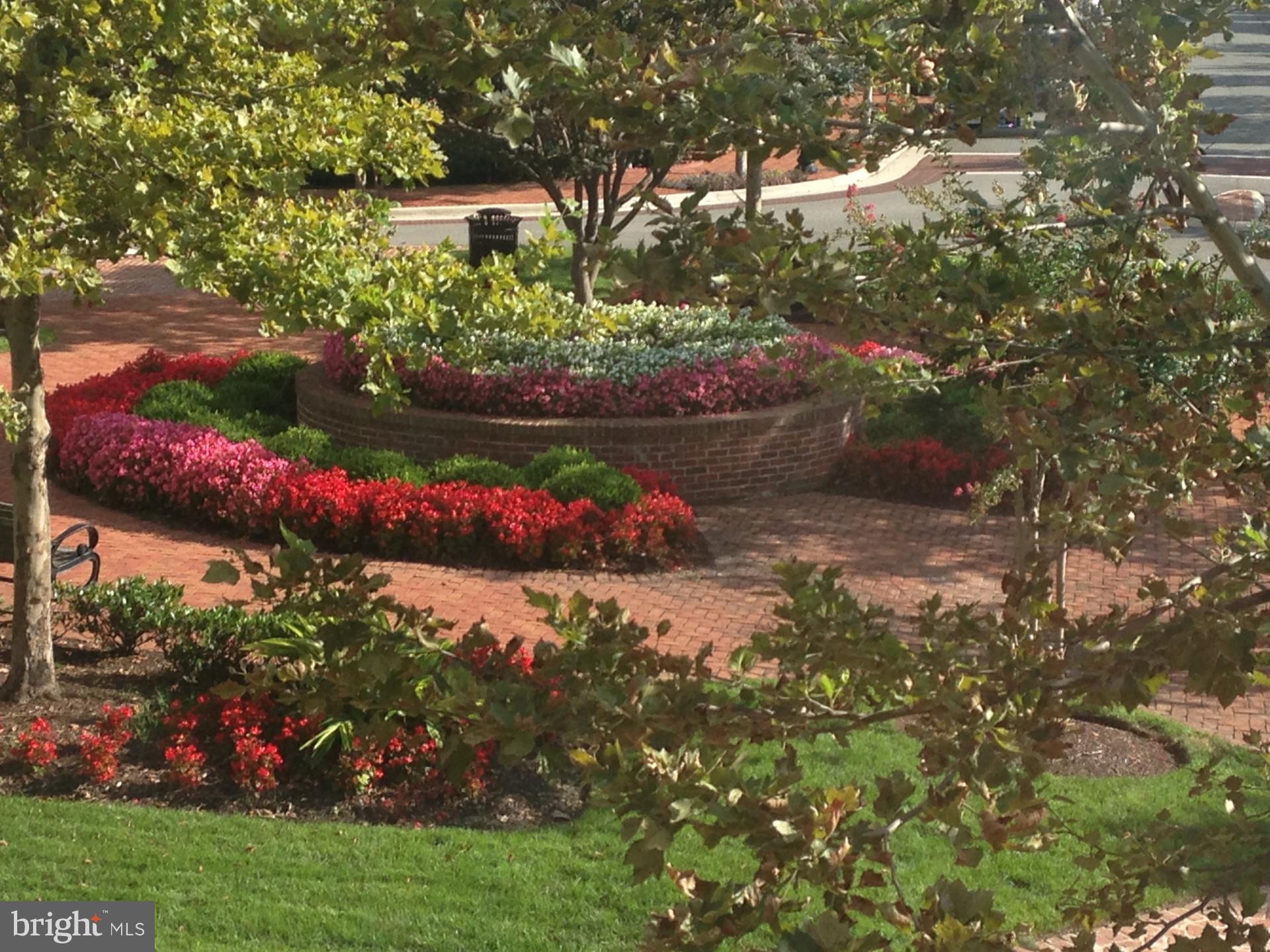 POTOMAC GREENS - Residential