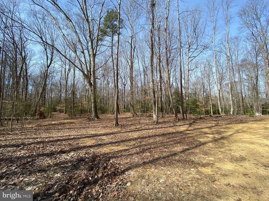 Perced building lot in Hollywood.  9+ acres.  Road maintenance agreement.