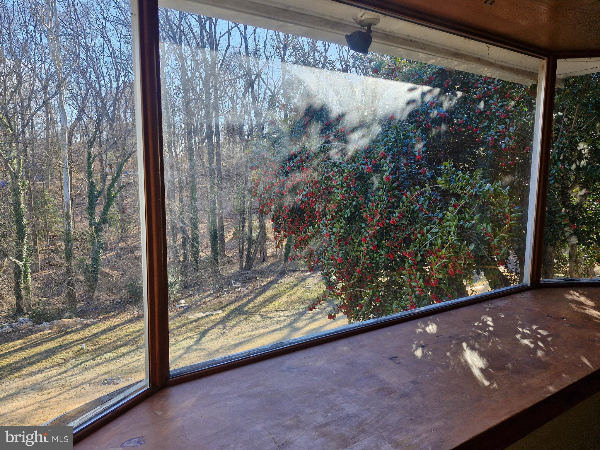 CHESTNUT HILL - Residential Lease