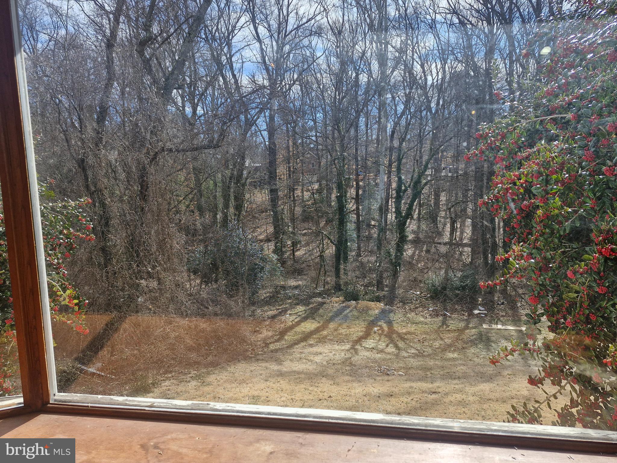 CHESTNUT HILL - Residential Lease