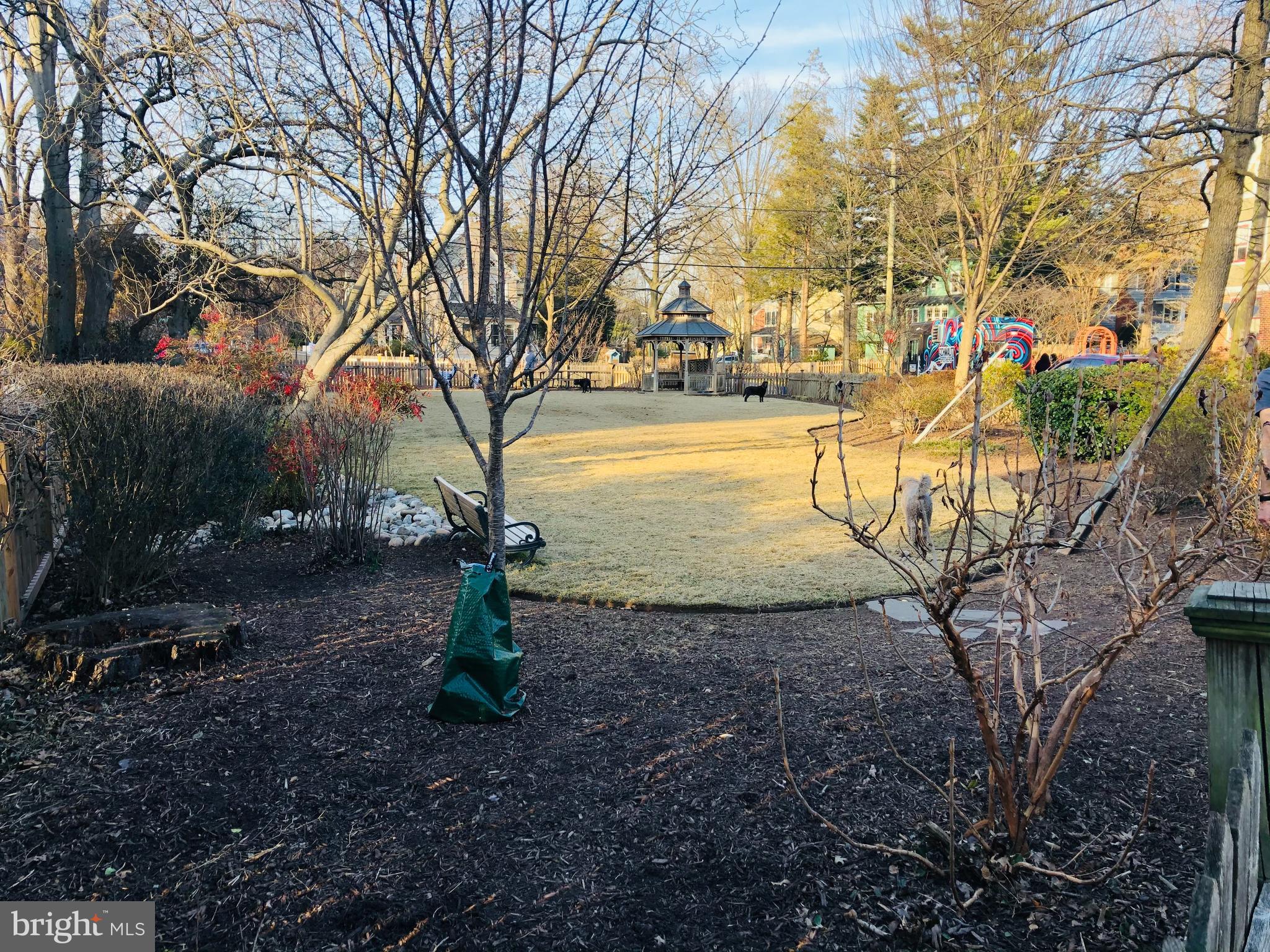 CHEVY CHASE - Residential