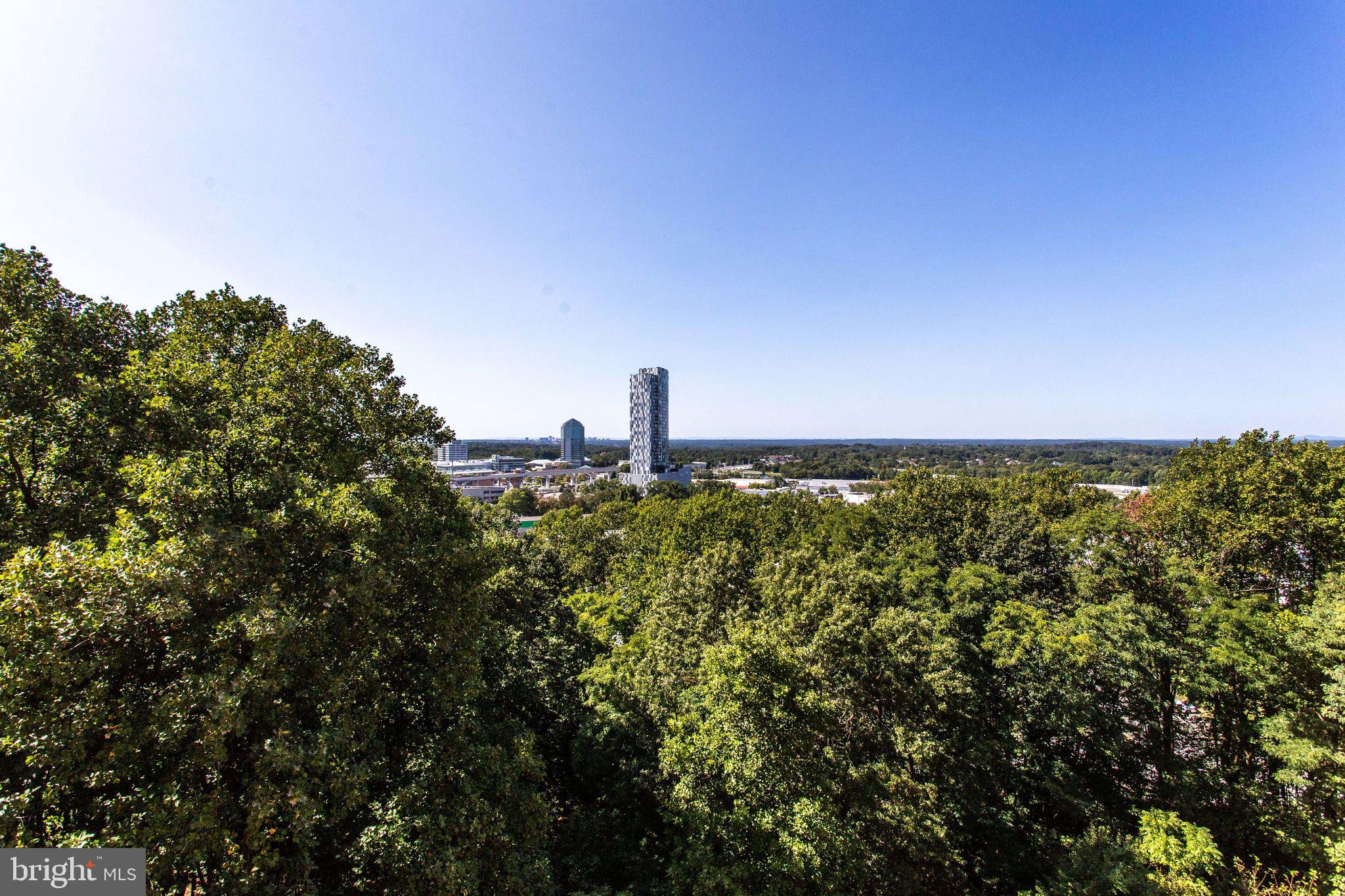 ROTONDA - Residential Lease