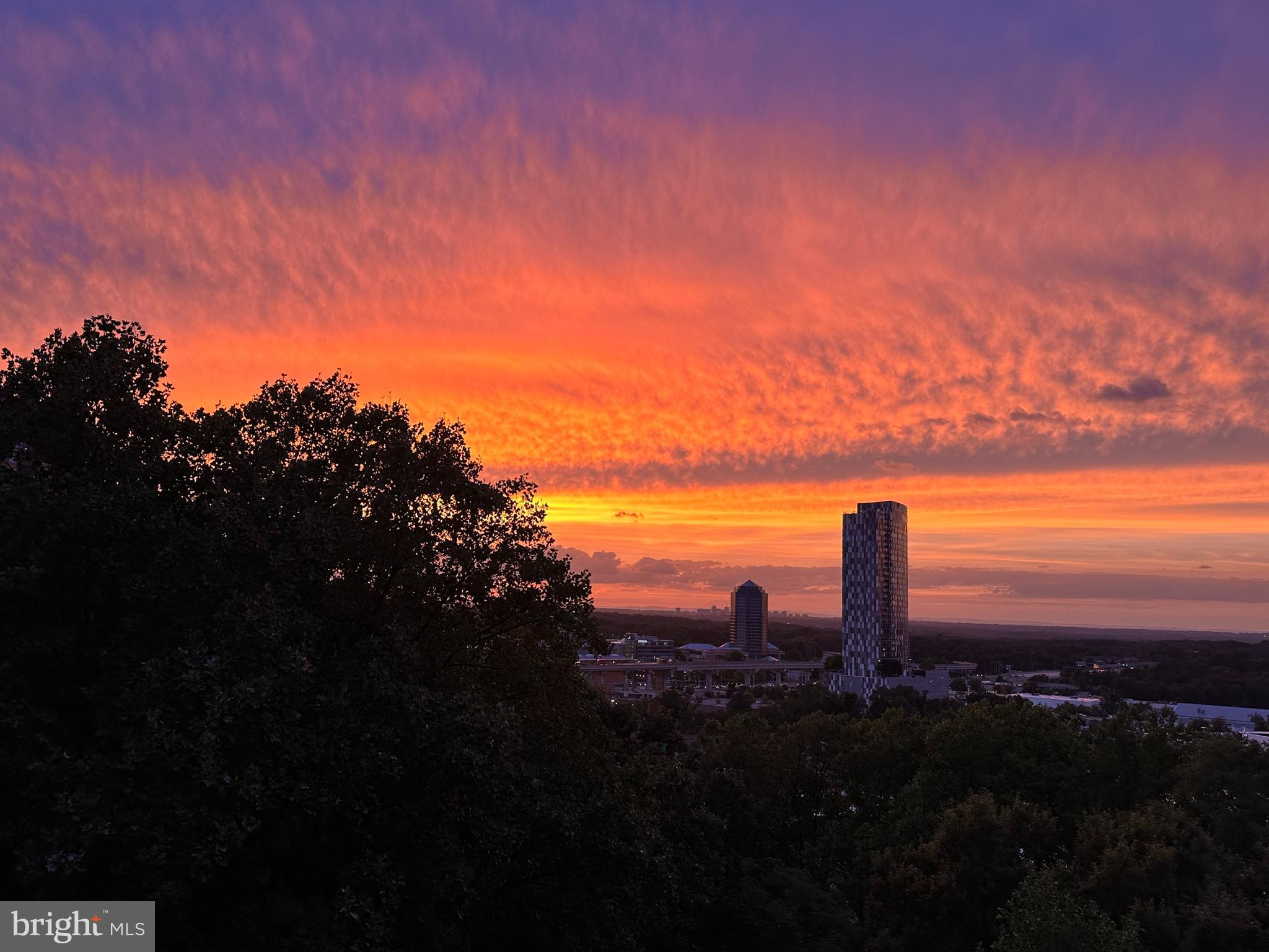 ROTONDA - Residential Lease