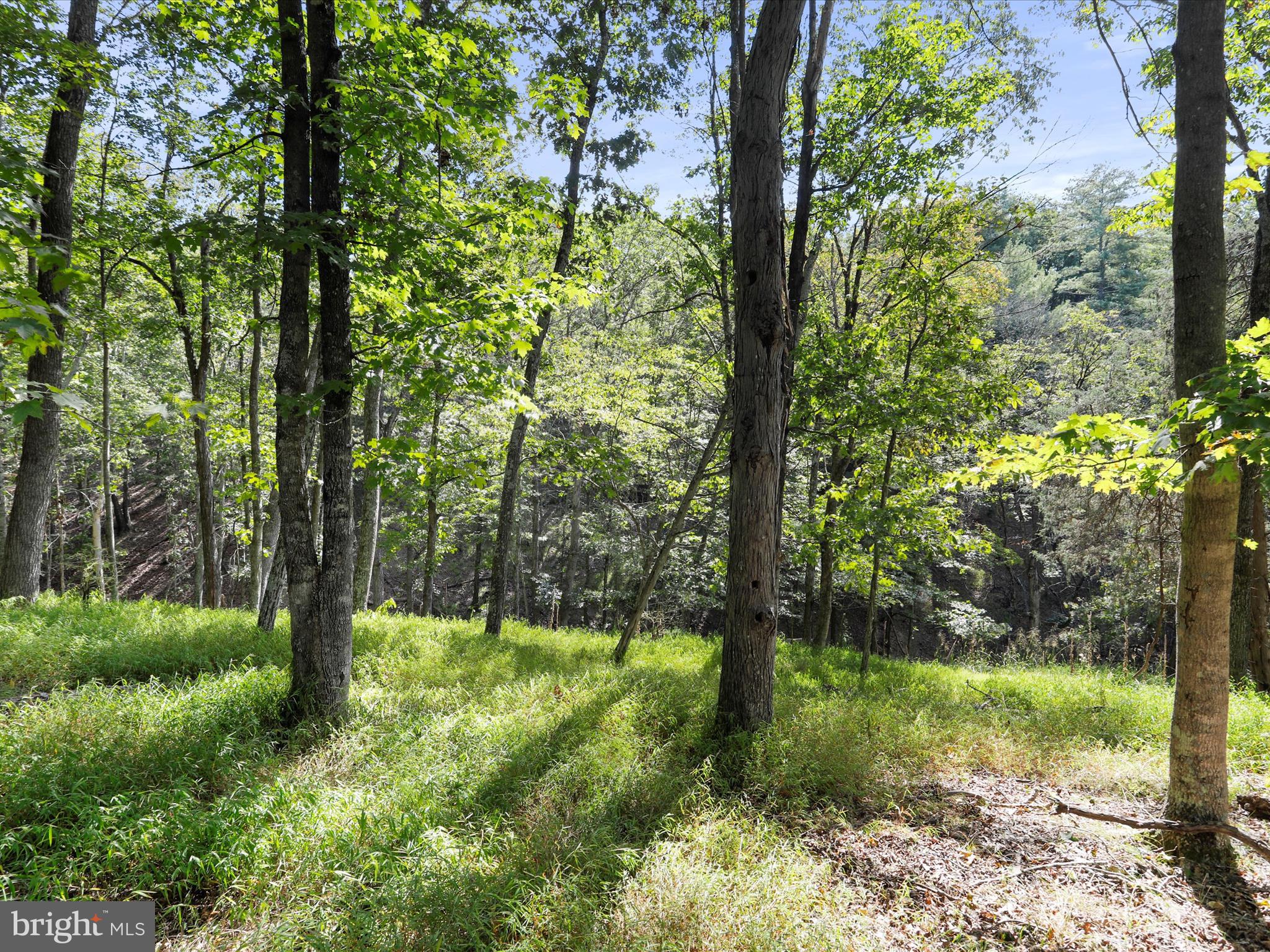 THE CROSSING AT GREAT CACAPON - Residential