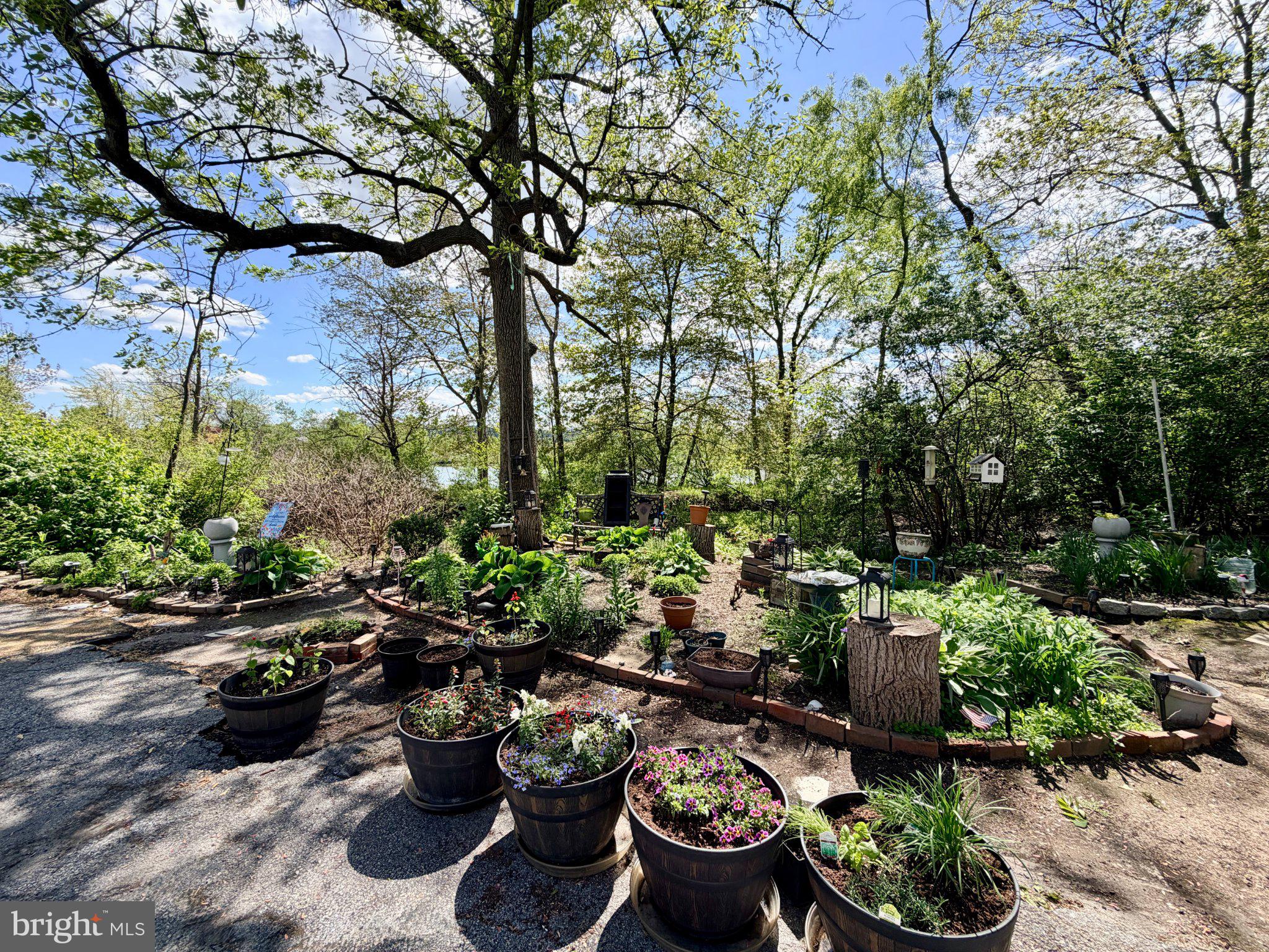 DOWNINGTOWN COMMON - Residential