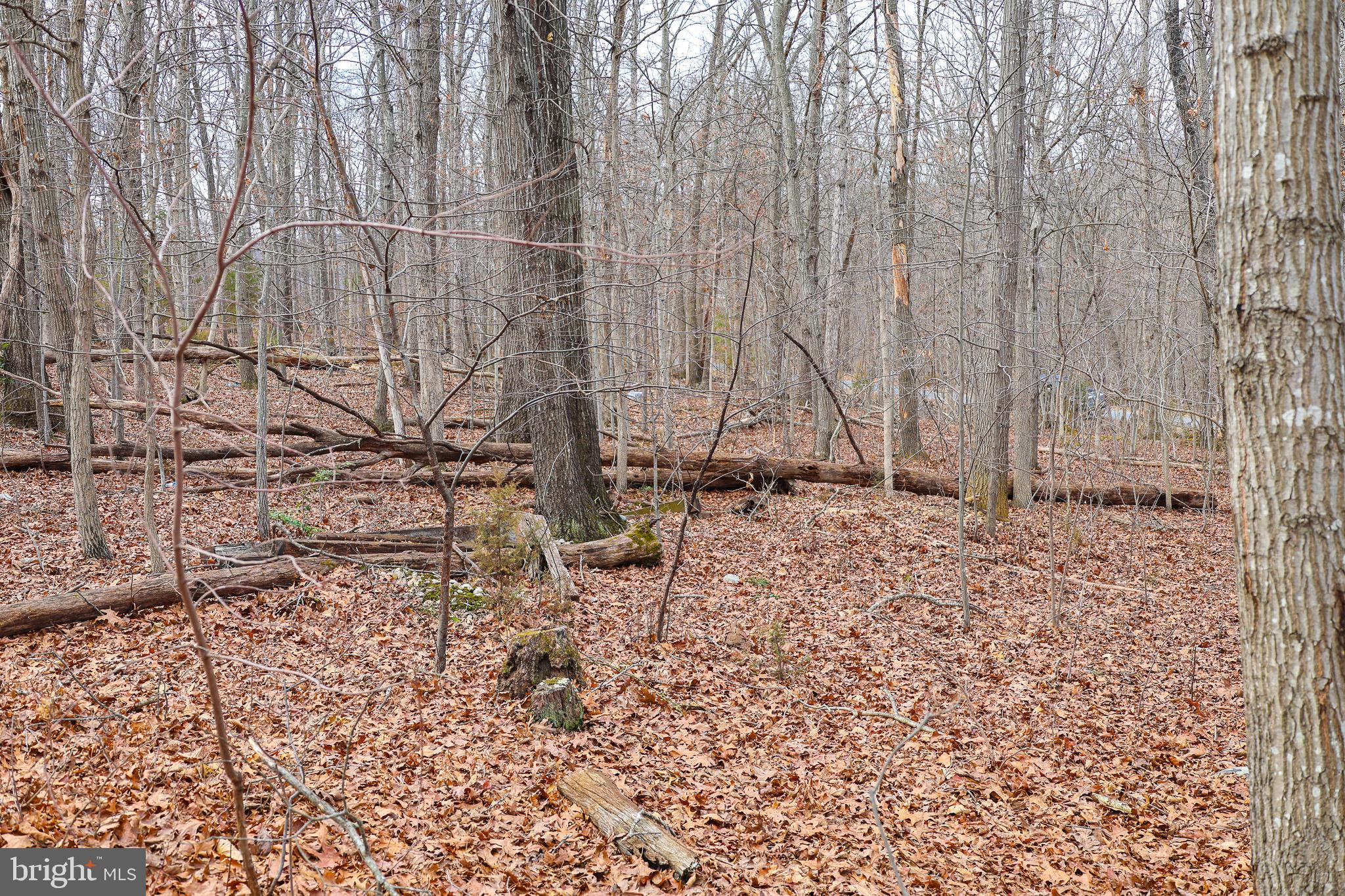 RIVERVIEW ESTATES - Land