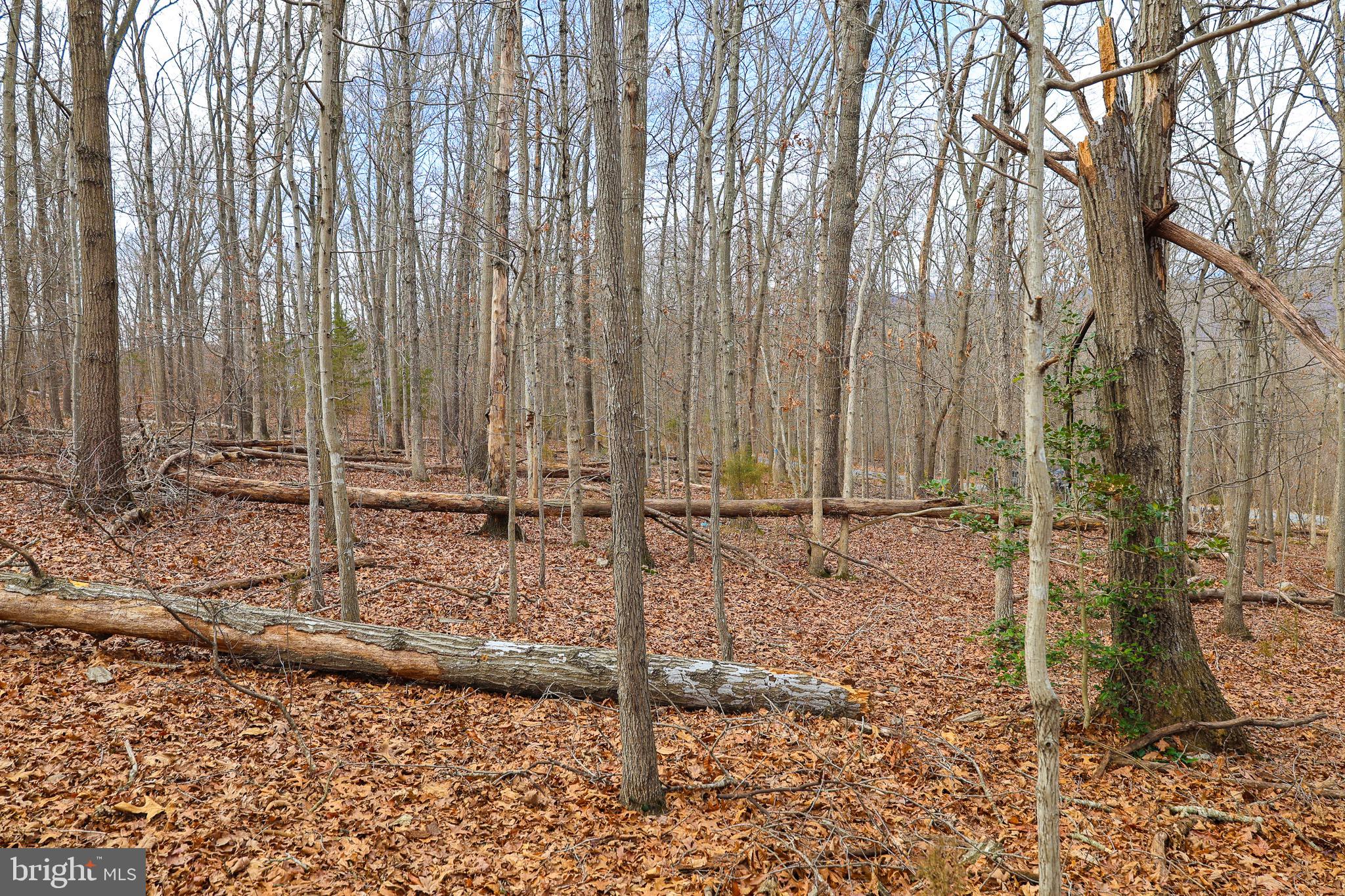 RIVERVIEW ESTATES - Land