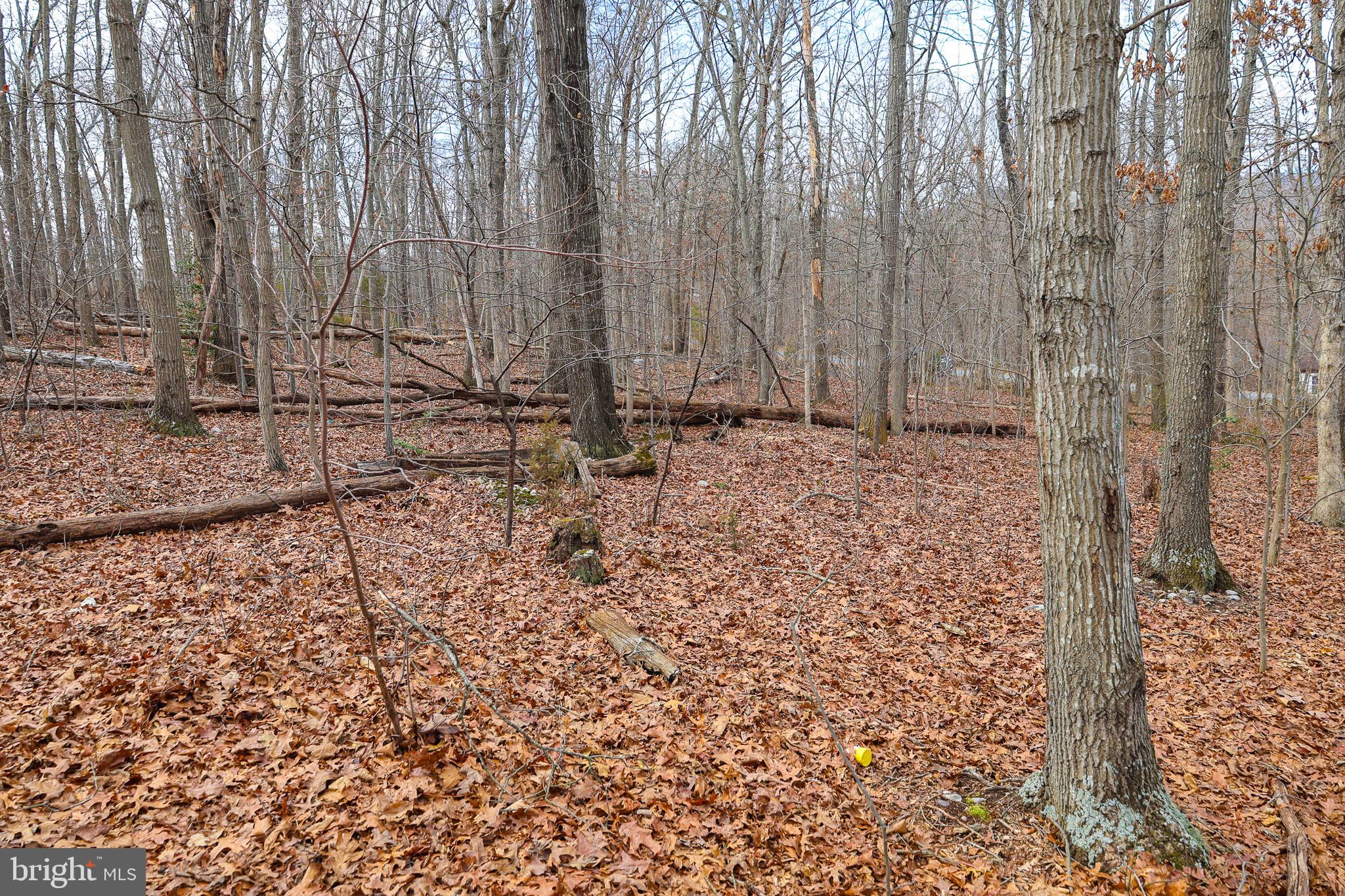 RIVERVIEW ESTATES - Land