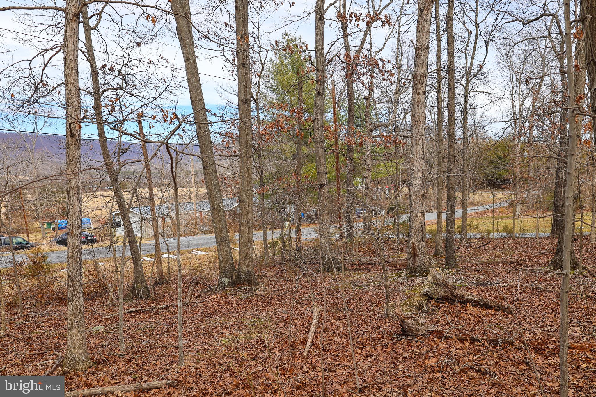 RIVERVIEW ESTATES - Land