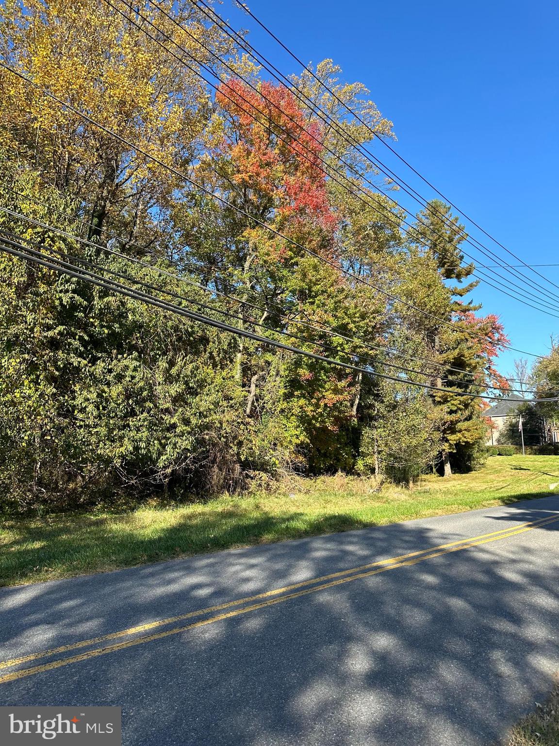 BRIARS RD