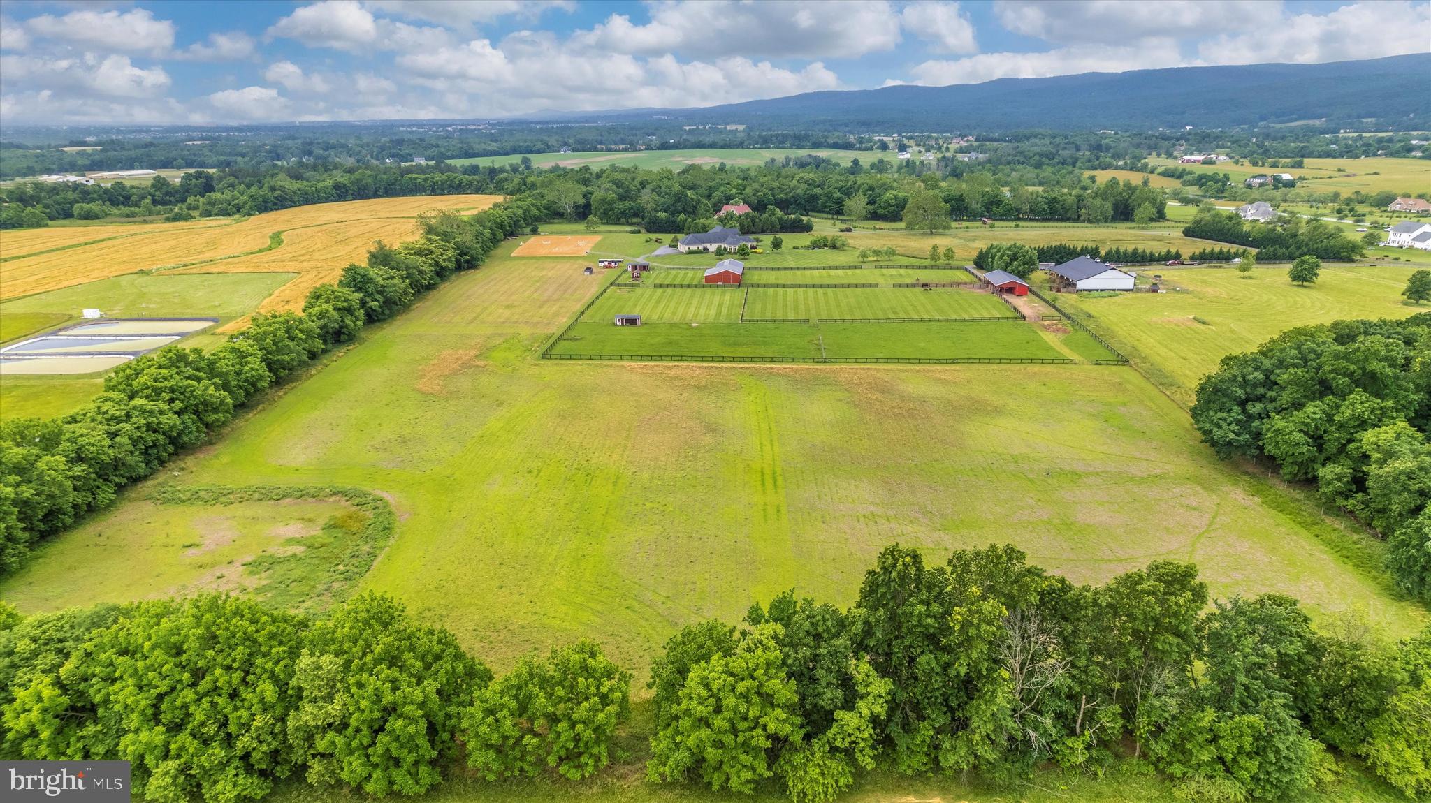 NONE AVAILABLE - Farm