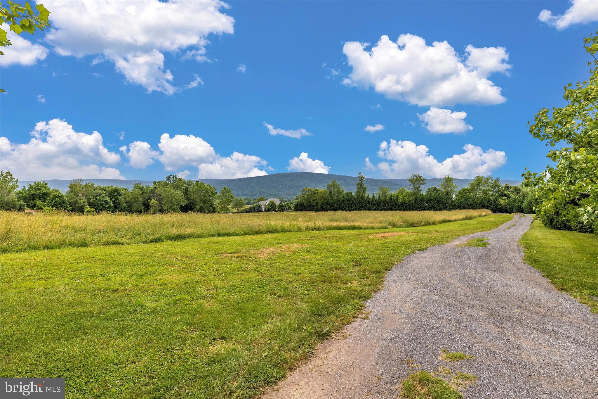 NONE AVAILABLE - Farm