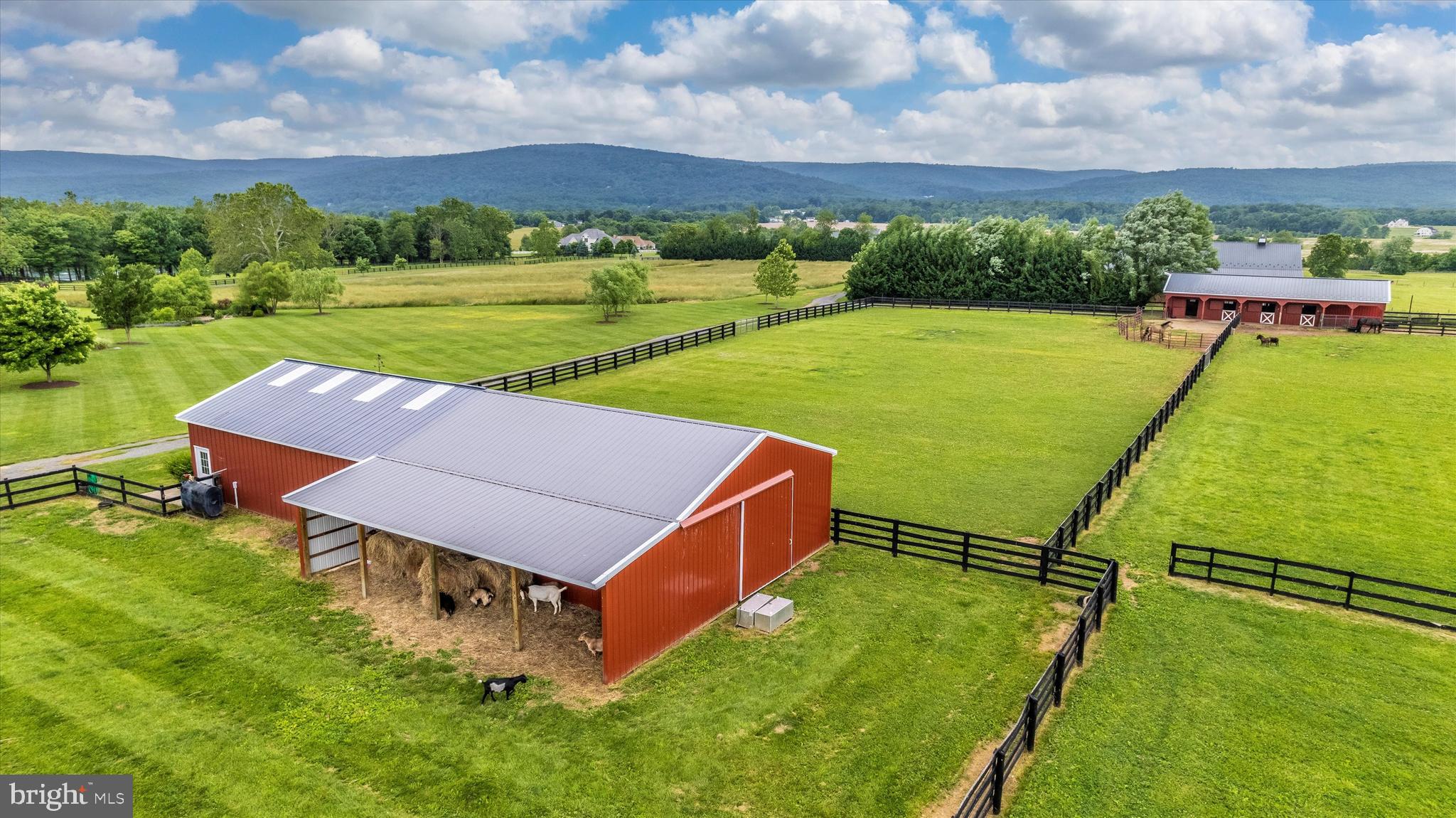 NONE AVAILABLE - Farm