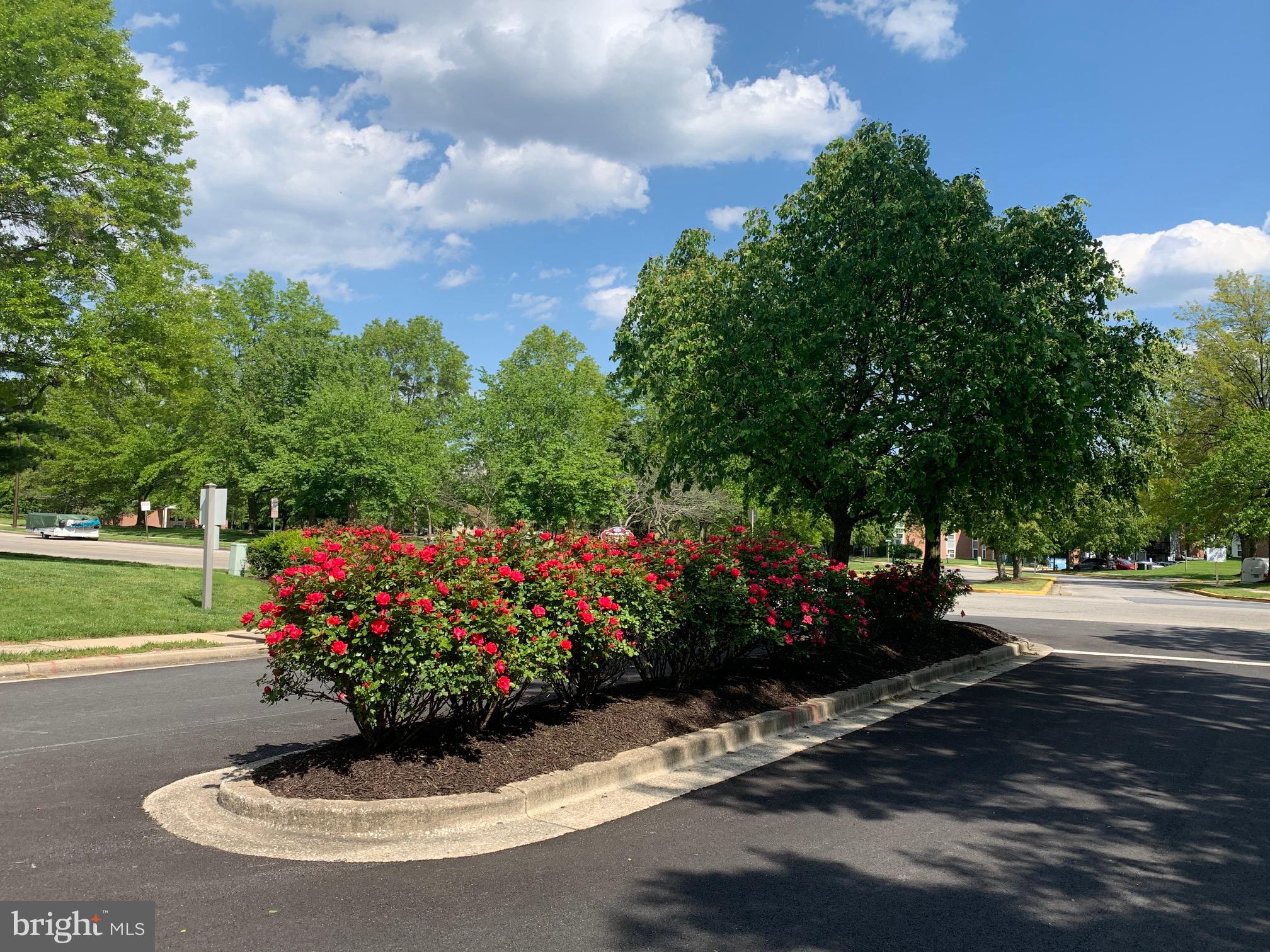 CROMWELL FOUNTAIN - Residential