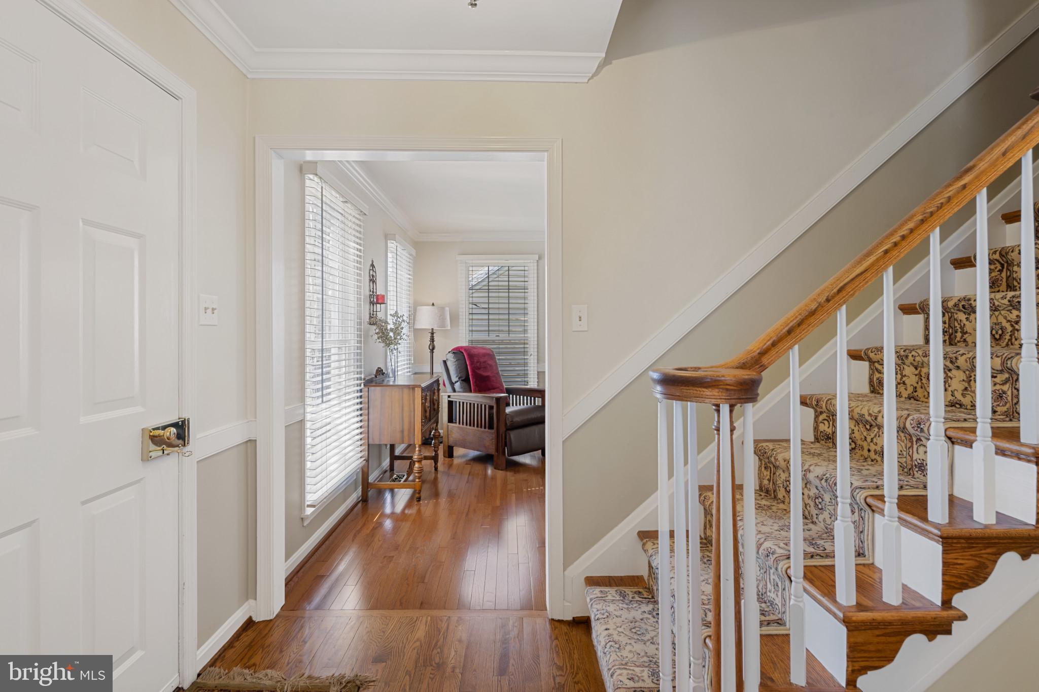 DORSEY SEARCH - Residential