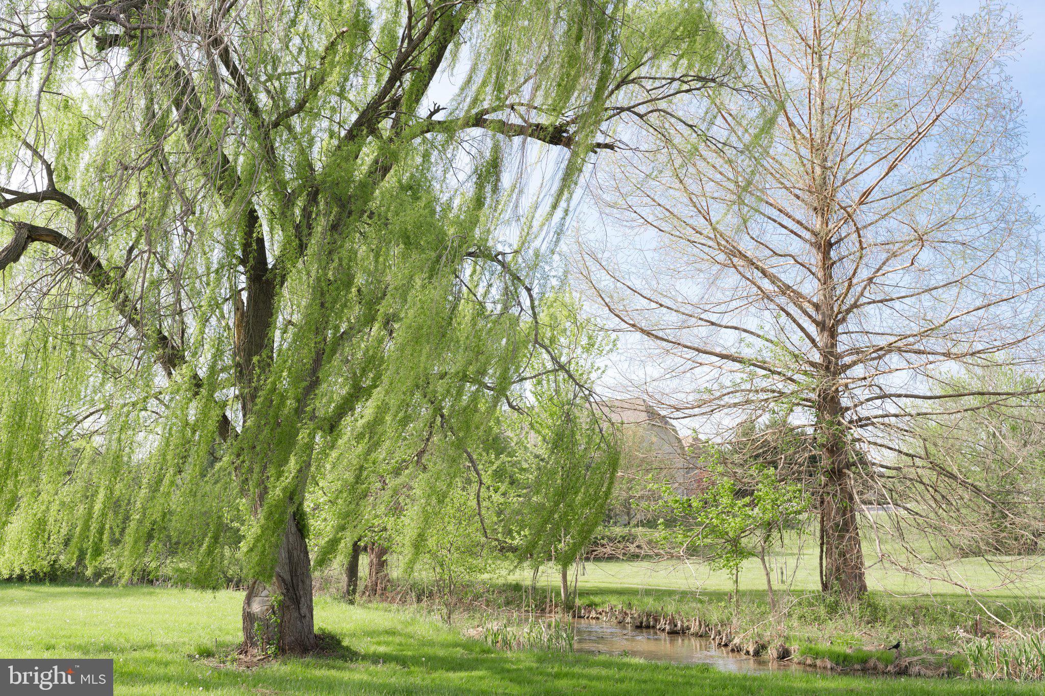 BEALLAIR - Residential