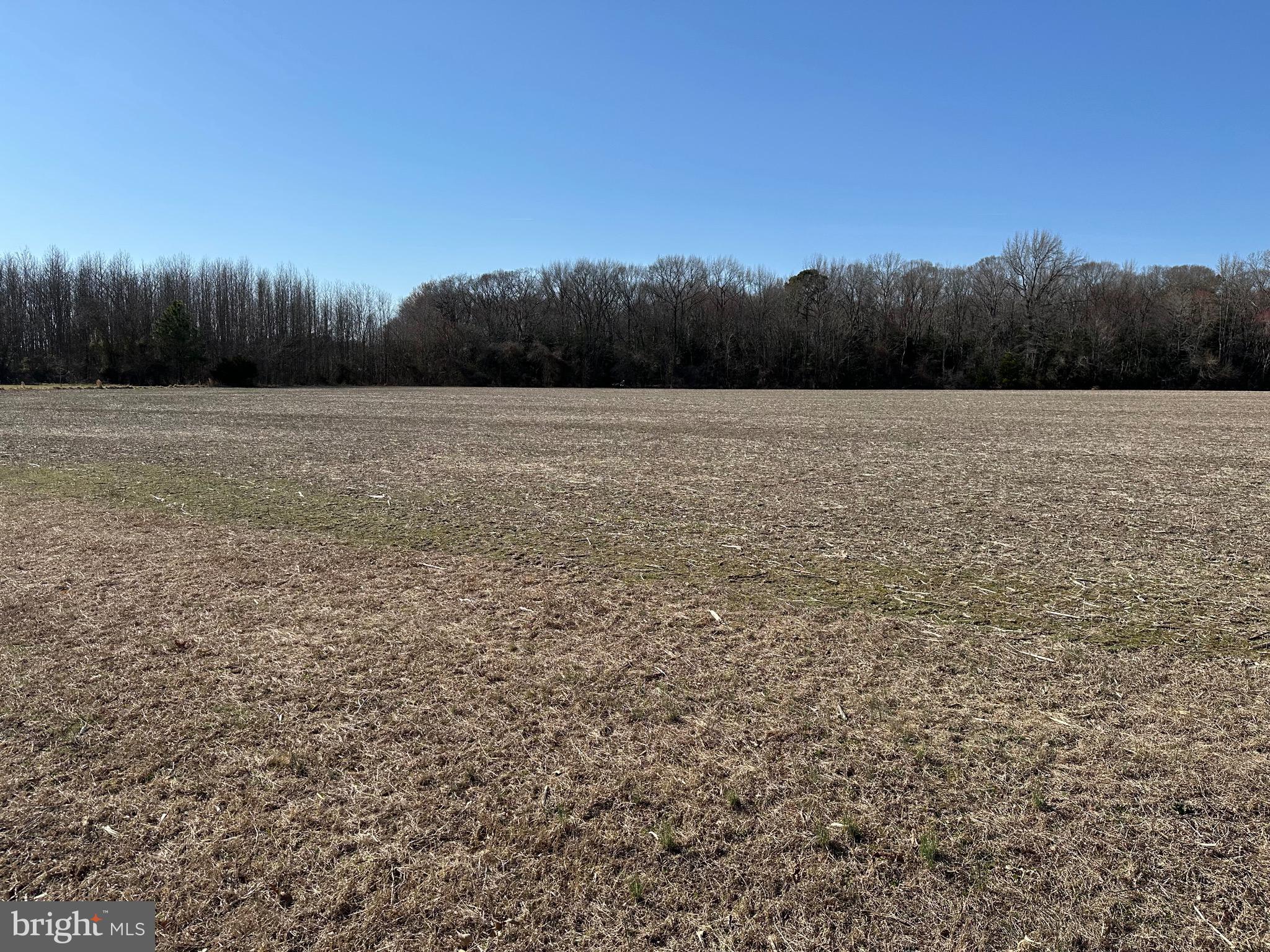 Delmar School District- K-12. Discover the perfect opportunity to create your dream home on this 3-acre lot, ideally situated on a peaceful road while still being just moments away from shopping and essential amenities. This cleared and buildable parcel comes with an approved septic system, offering you the flexibility to design a home that meets your specific needs. Don't miss out on this unique chance to build in a desirable location! *Electric provide is Choptank