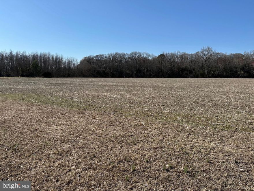 Delmar School District- K-12.  Discover the perfect opportunity to create your dream home on this  3-acre lot, ideally situated on a peaceful road while still being just moments away from shopping and essential amenities. This cleared and buildable parcel comes with an approved septic system, offering you the flexibility to design a home that meets your specific needs.  Don't miss out on this unique chance to build in a desirable location! *Electric provide is Choptank