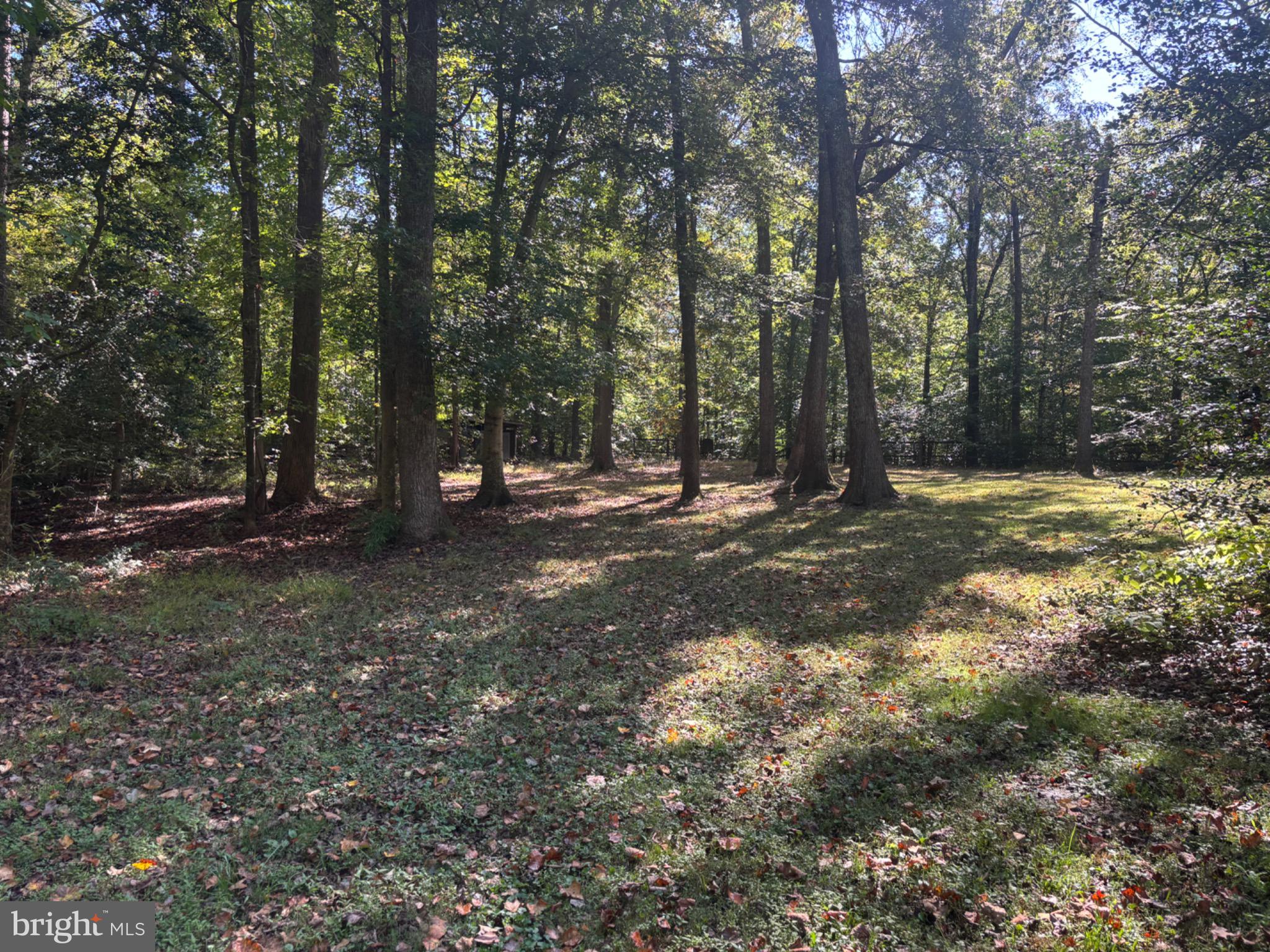 LAND O LAKES - Residential Lease