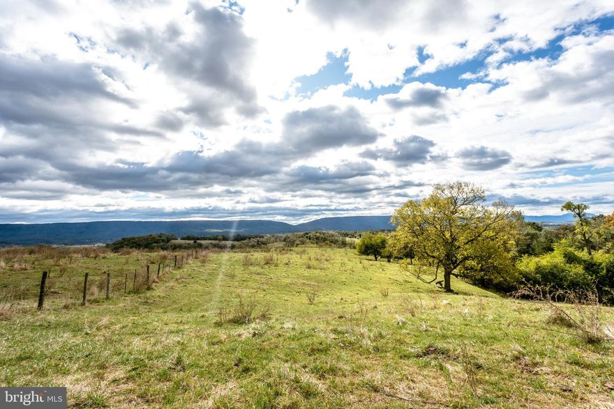 32+ acres of agricultural land ranging from nearly level to gently rolling! Property includes well, chicken house, barn and several other buildings on site! Could suit residential, farmette, horses, vineyard, poultry, or other ag uses! Just minutes from I-81! 3 minutes to Shenandoah Caverns & American Celebration on Parade; 7 minutes to town of Mt Jackson; 5 minutes to Elementrary, Middle & High School; under 20 minutes to Timberville Walmart & Sentara Medical Center in Timberville!  Shown by appointment only; no drive-bys, please. All interested parties must be accompanied by an agent for showings.