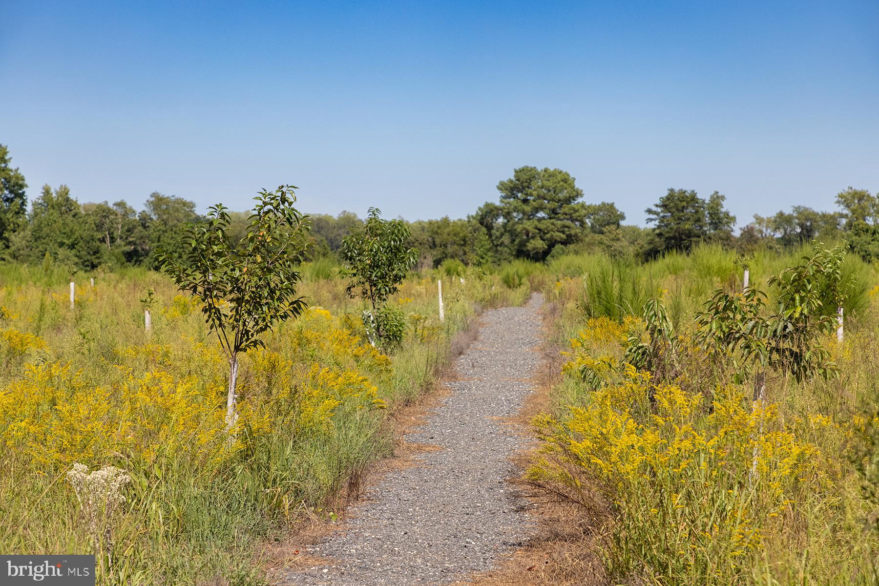 BAY LANDING - Residential
