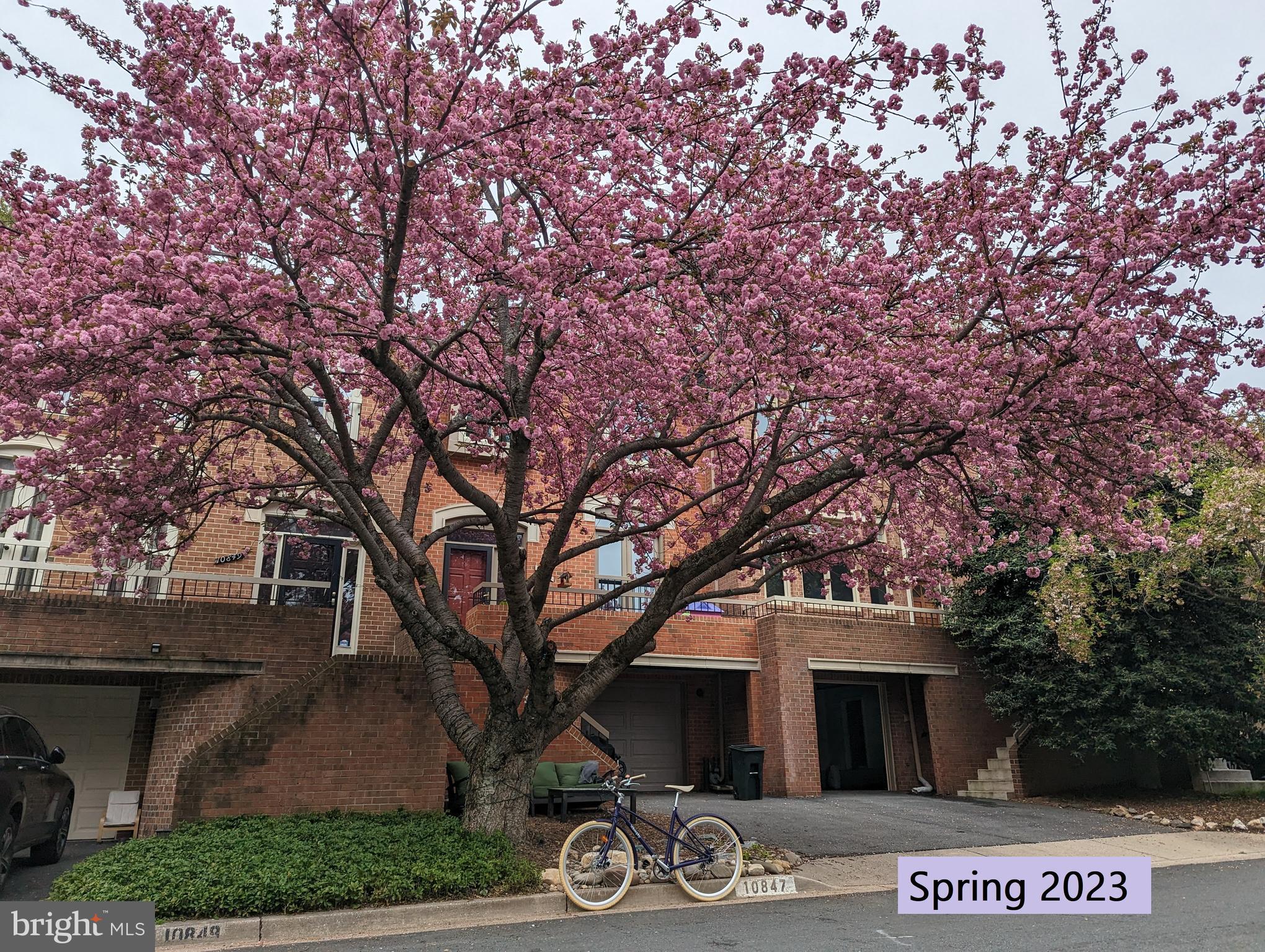 WOODROCK - Residential Lease