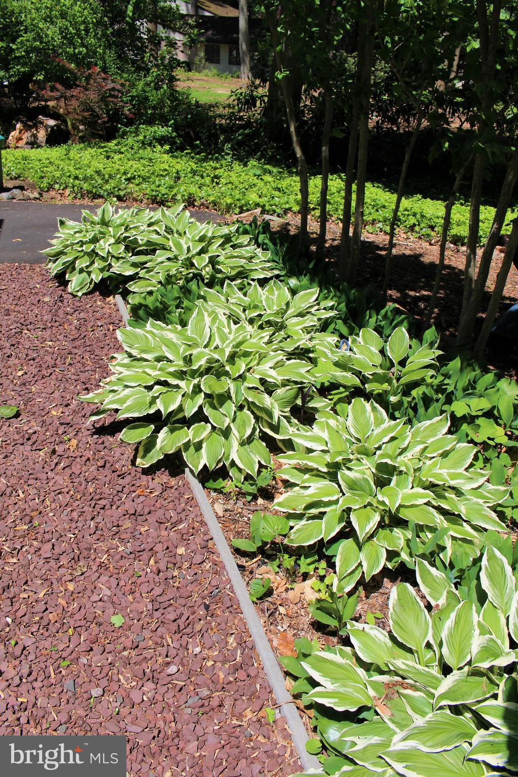 CREEKWOOD - Residential