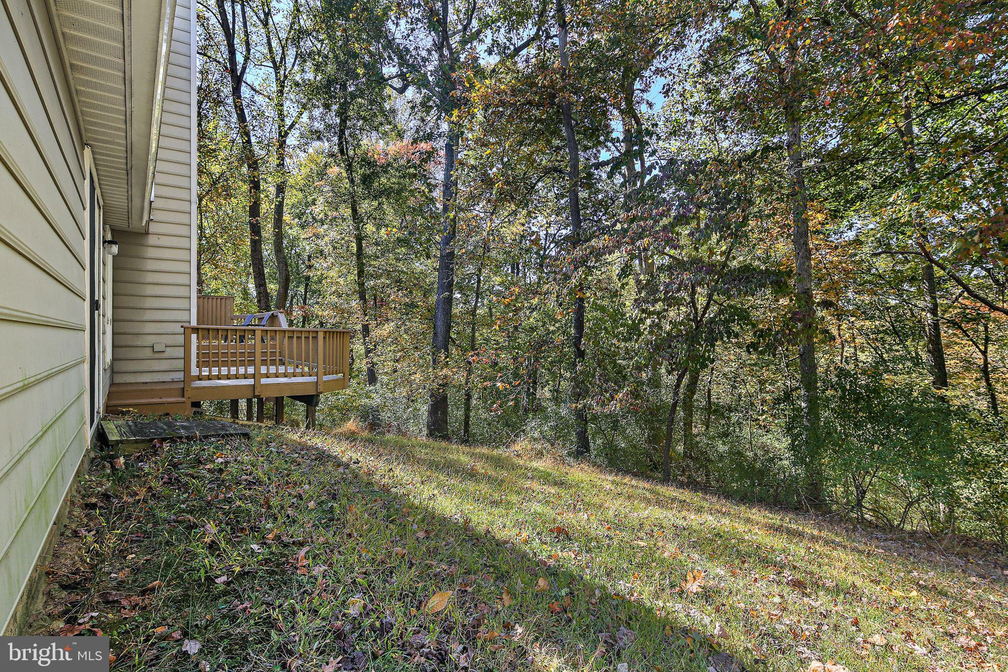 CLARY'S FOREST - Residential Lease