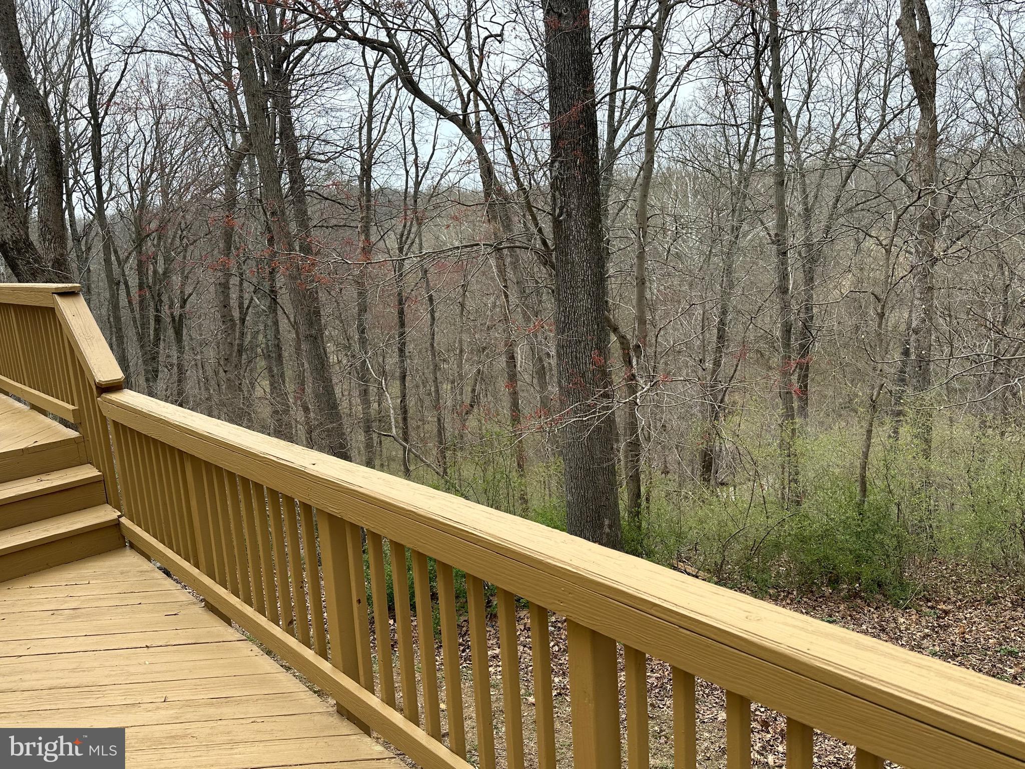 CLARY'S FOREST - Residential Lease