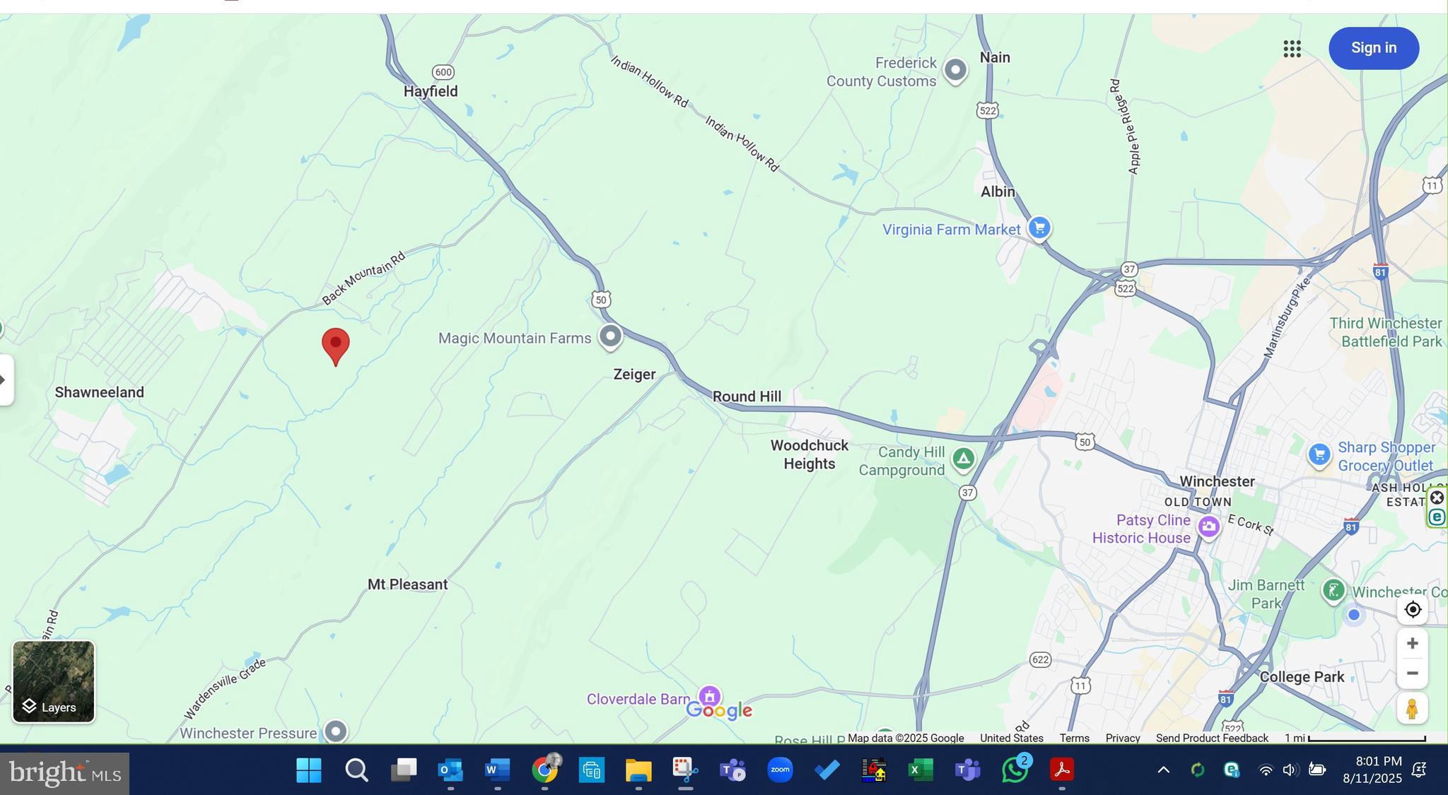 1389 BACK MOUNTAIN